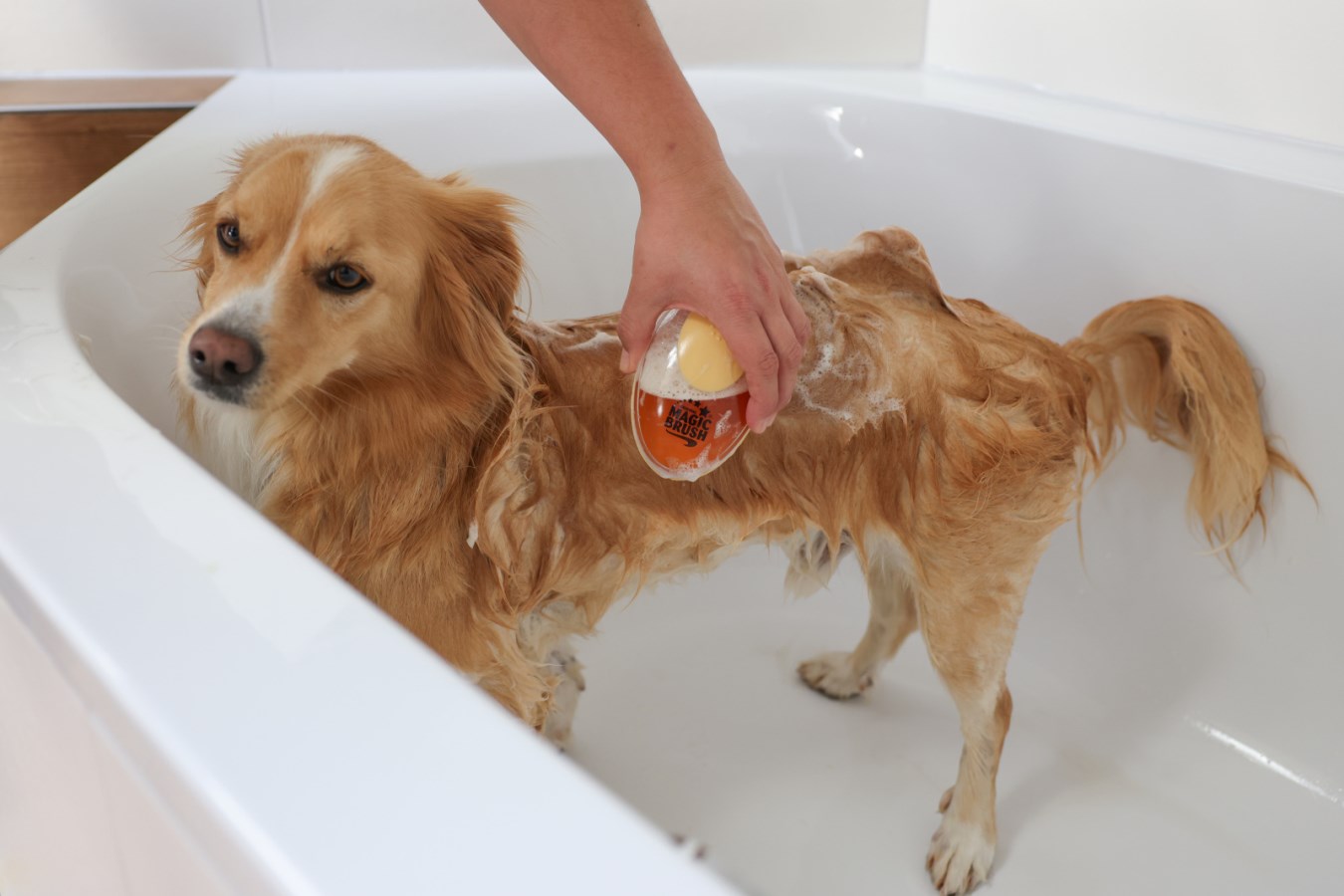 Kerbl Pet Brosse de bain MagicBrush