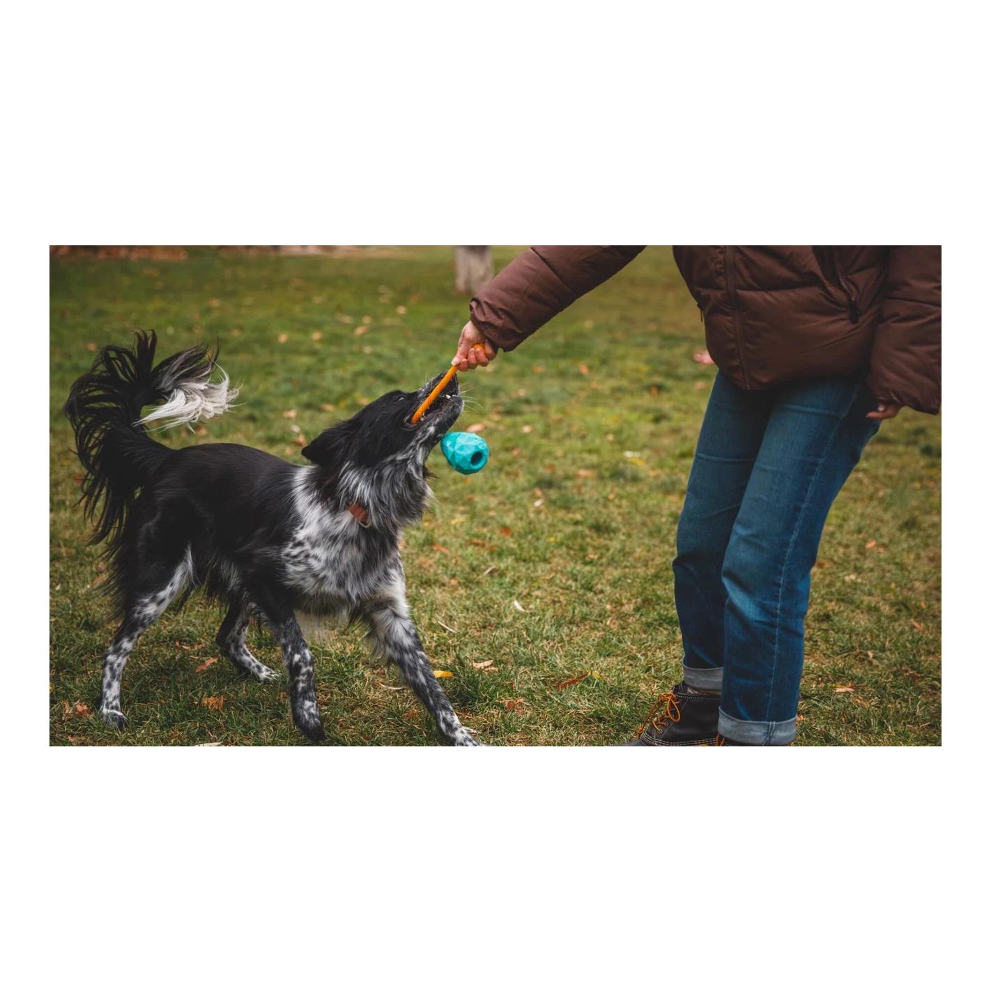 Ruffwear Hundespielzeug Huck-a-Cone