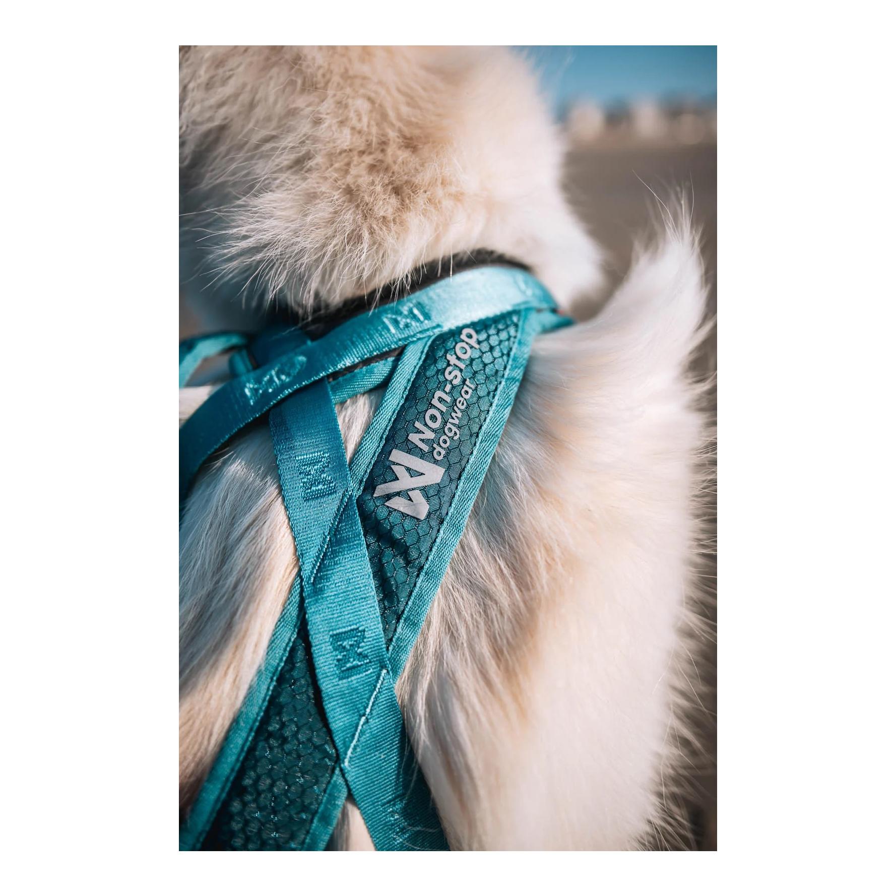 Non-stop Dogwear Harnais pour chien Rush Harness