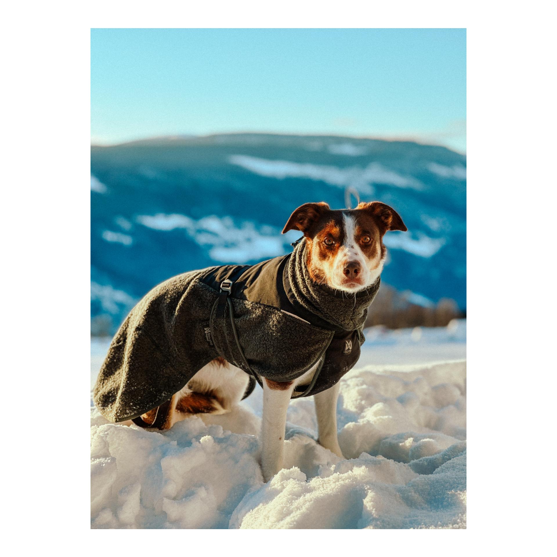 Non-stop Dogwear Manteau pour chien Wool Dog Jacket