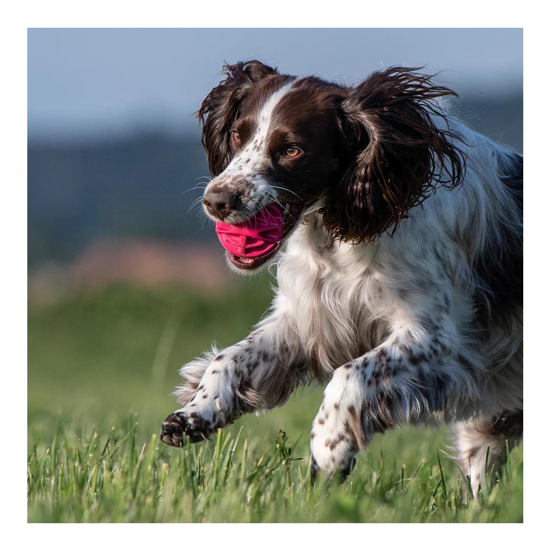 Beat Grossenbacher Jouet pour chien Baxter Ball
