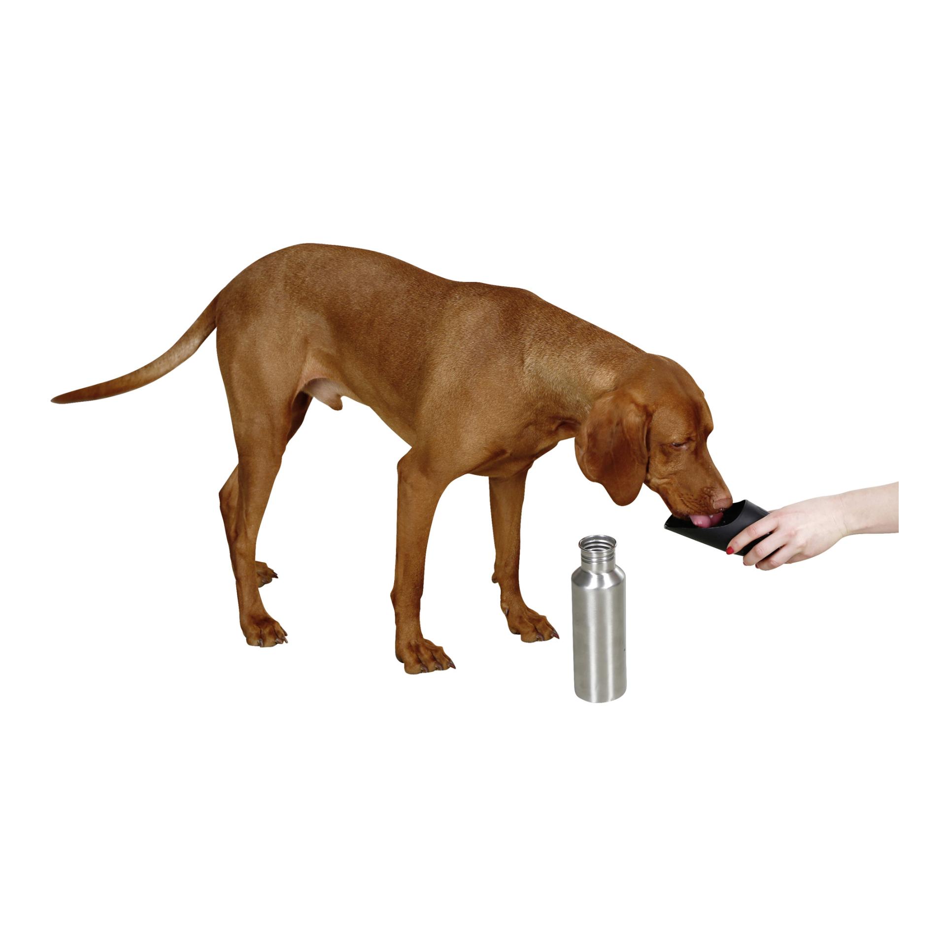 Kerbl Pet Bouteille de voyage en acier inoxydable avec bol - 750 ml
