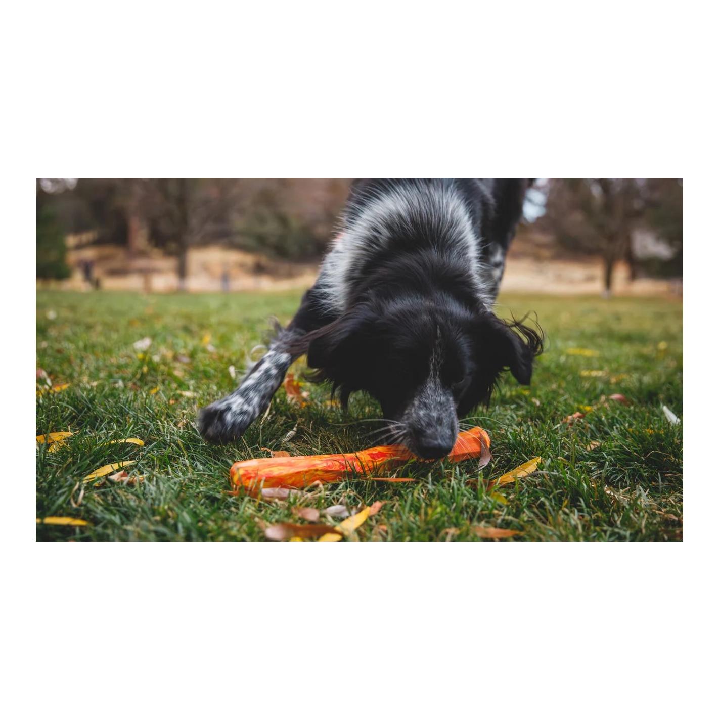 Ruffwear Hundespielzeug Gnawt-a-Stick