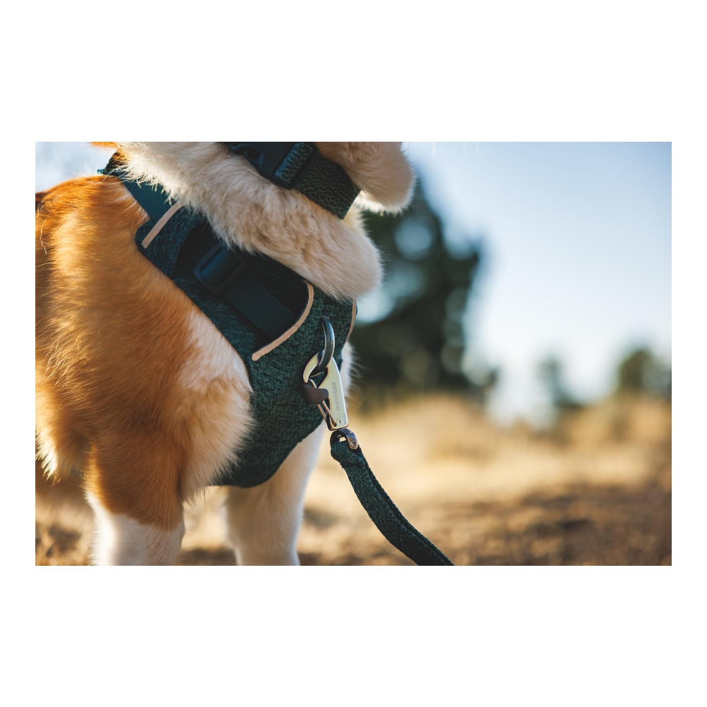 Ruffwear Front Range™ Flex Hundeleine