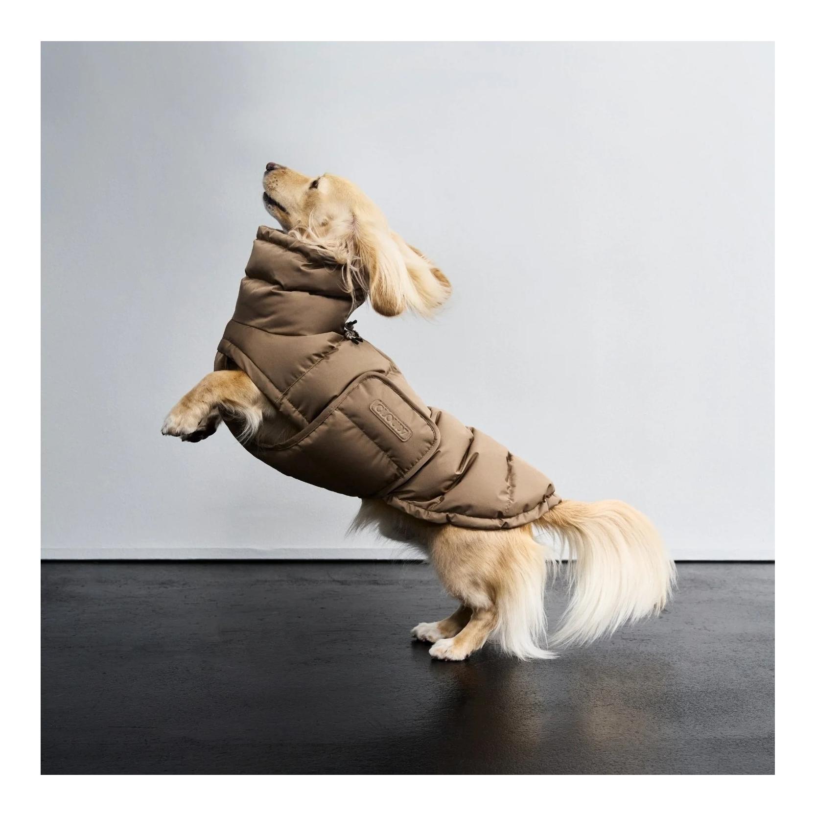 Cloud 7 Manteau d'hiver pour chien Alaska Teckel