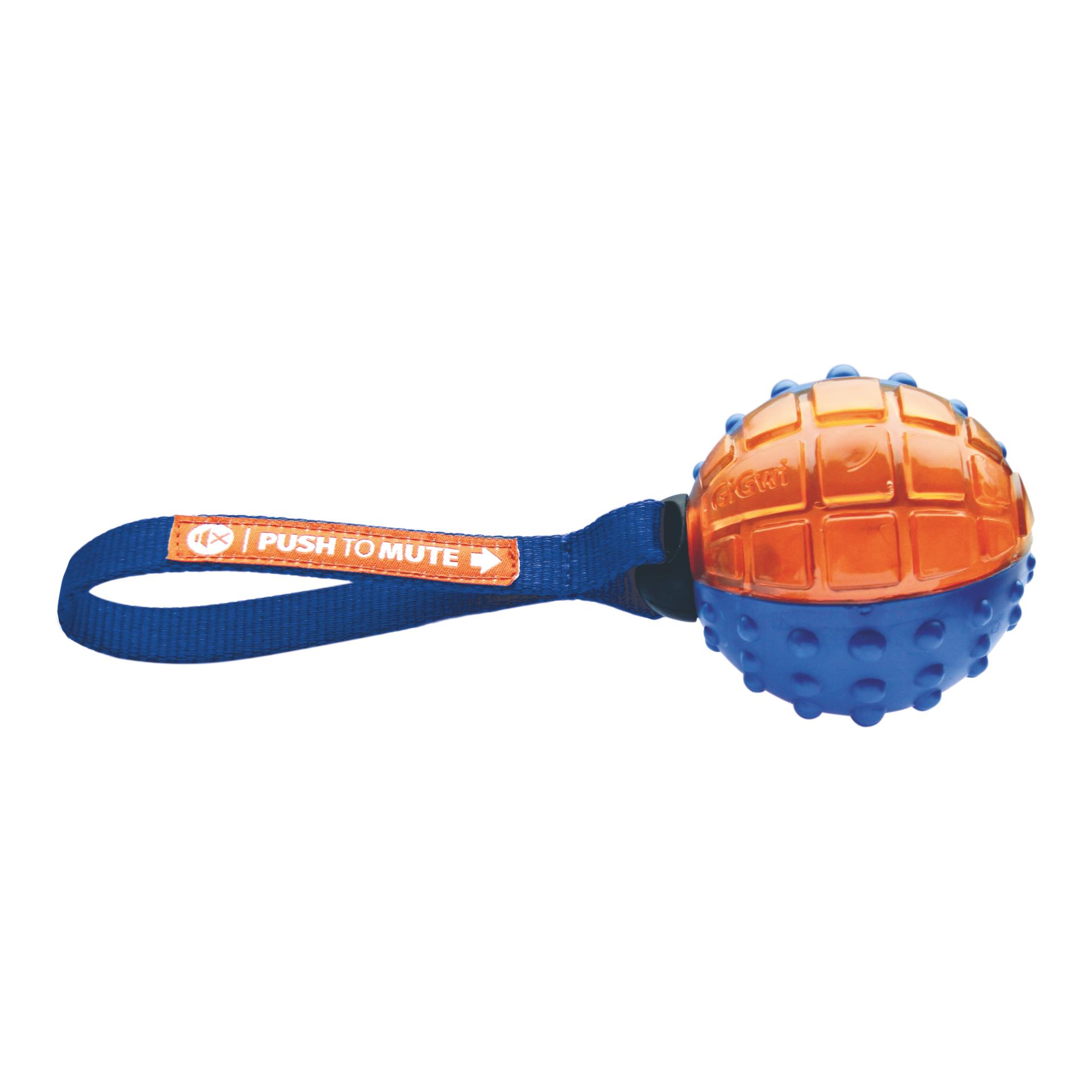Gigwi Anneau d'entraînement 60cm