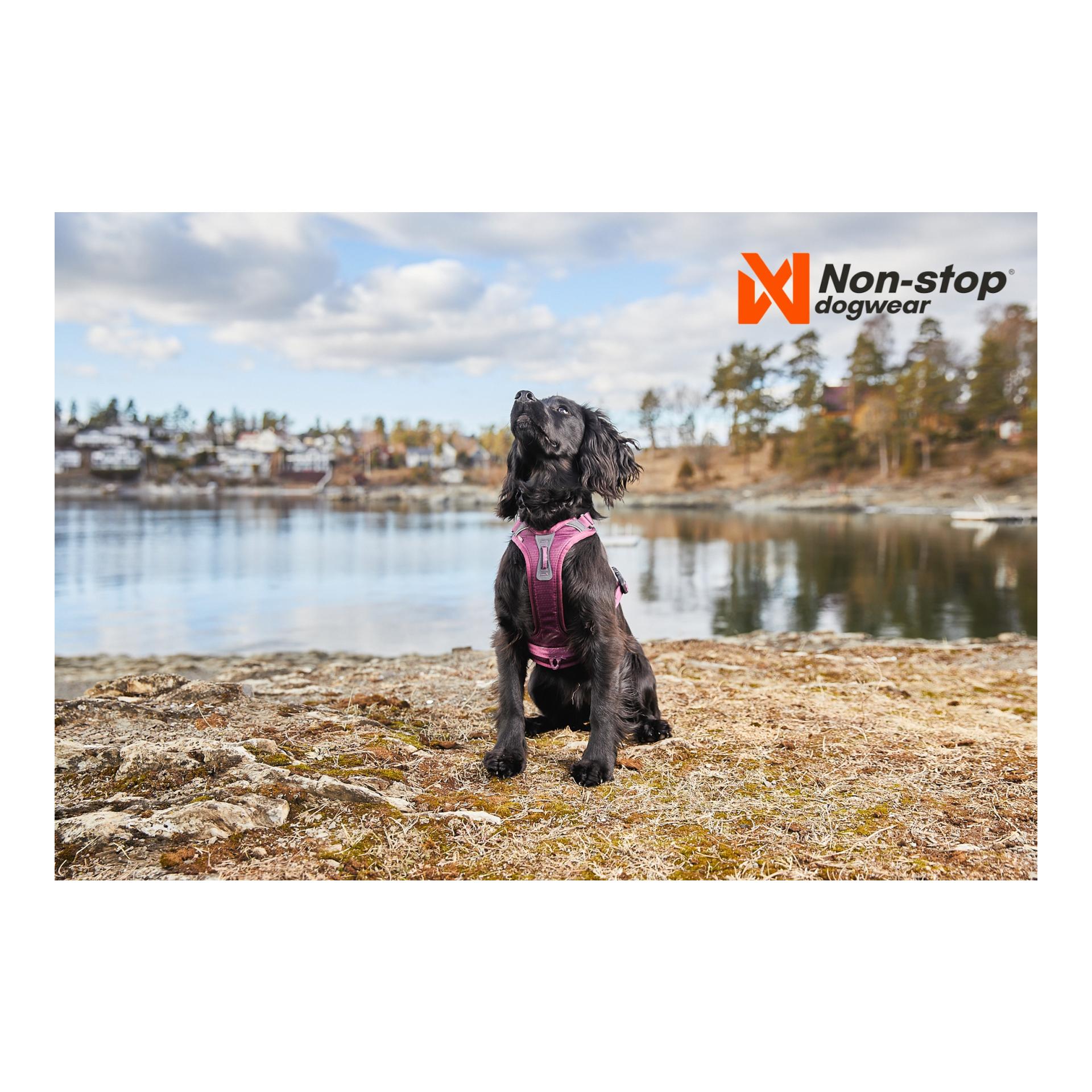 Non-stop Dogwear Ramble Harness - purple
