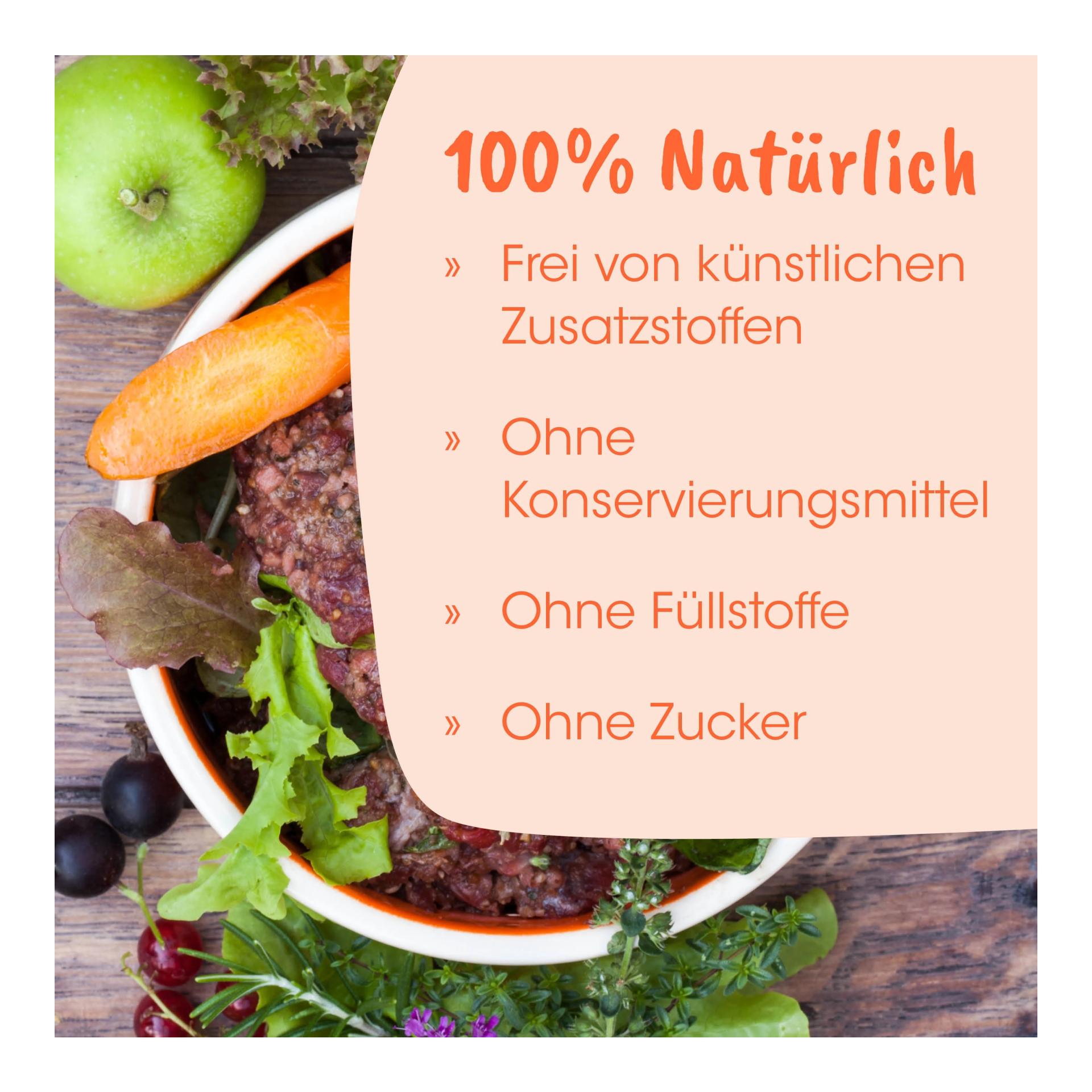 cdVet Singulares Bio-Schwarzkümmelsticks