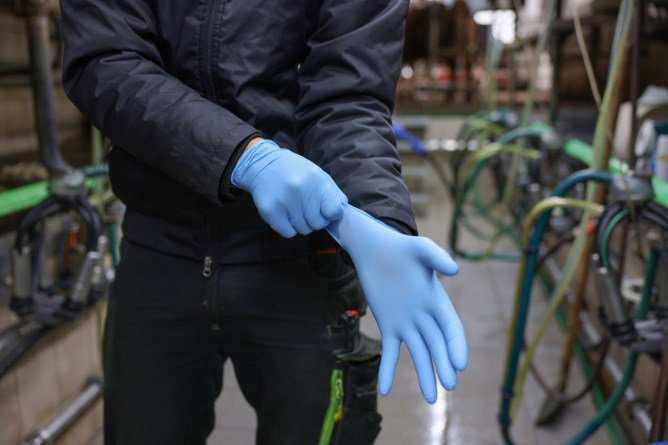 Kerbl Einmalhandschuhe Nitrile Premium