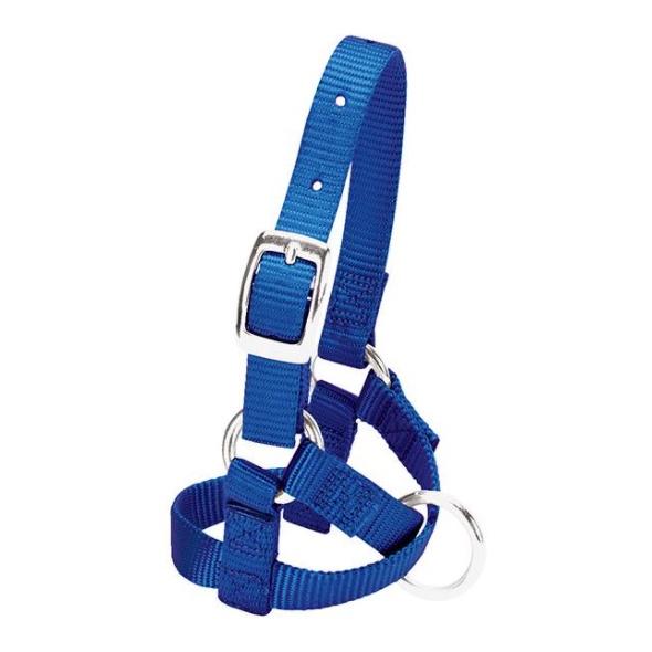 Weaver Livestock Licol pour alpagas – bleu