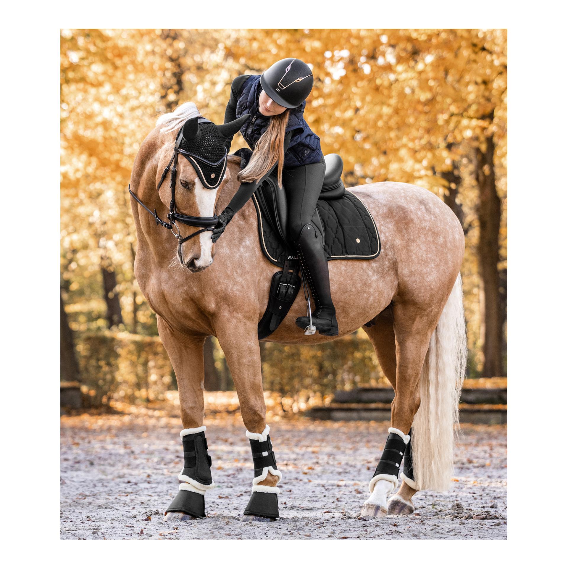 Waldhausen Guêtres de dressage