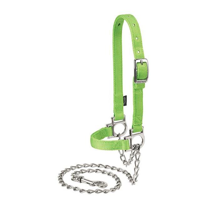 Weaver Livestock Licol pour mouton en nylon