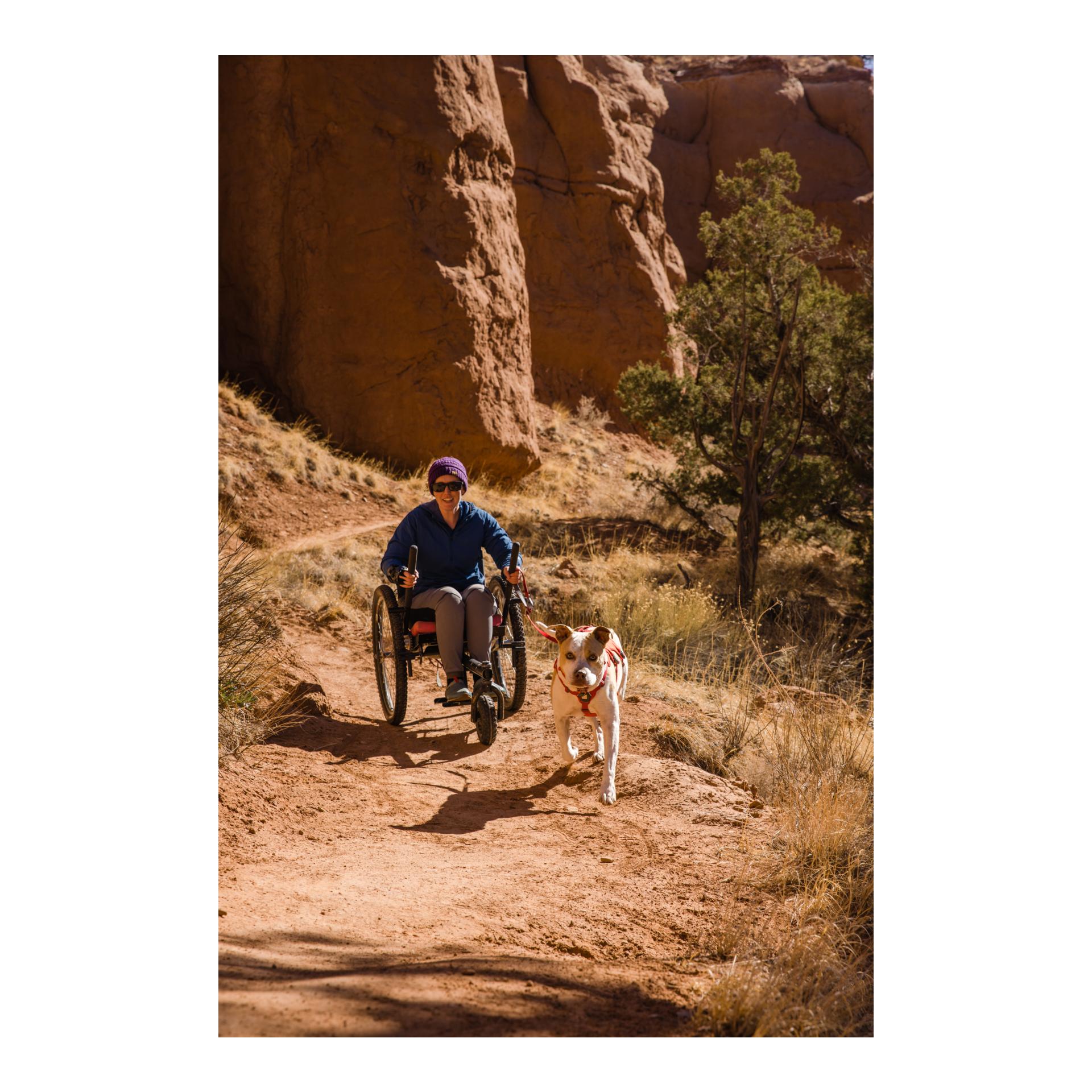 Ruffwear Web Master™ Geschirr