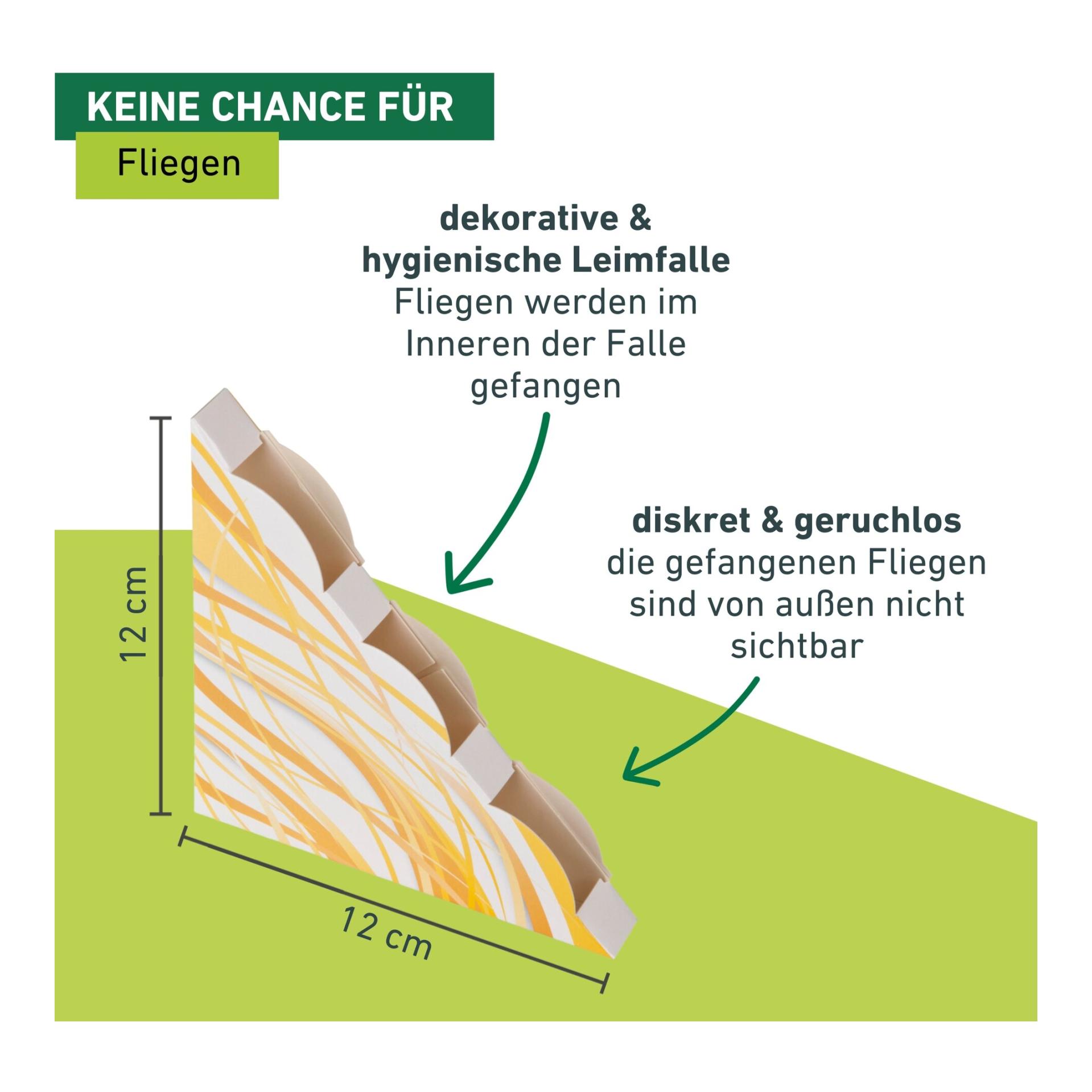 Windhager Piège à mouches pour fenêtre Discreet