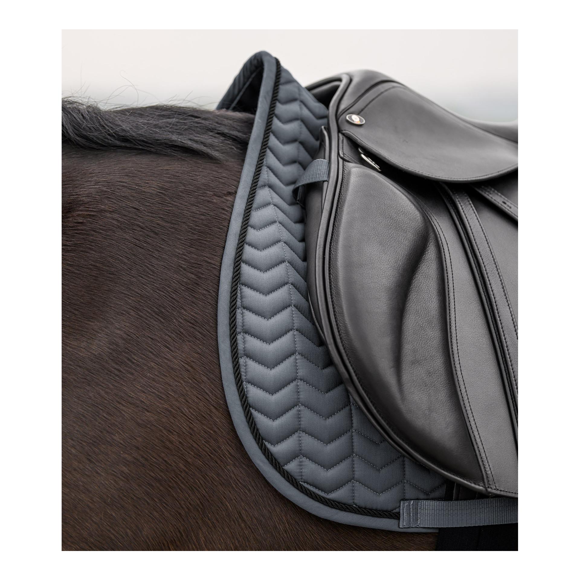 Waldhausen Chabraque Classic