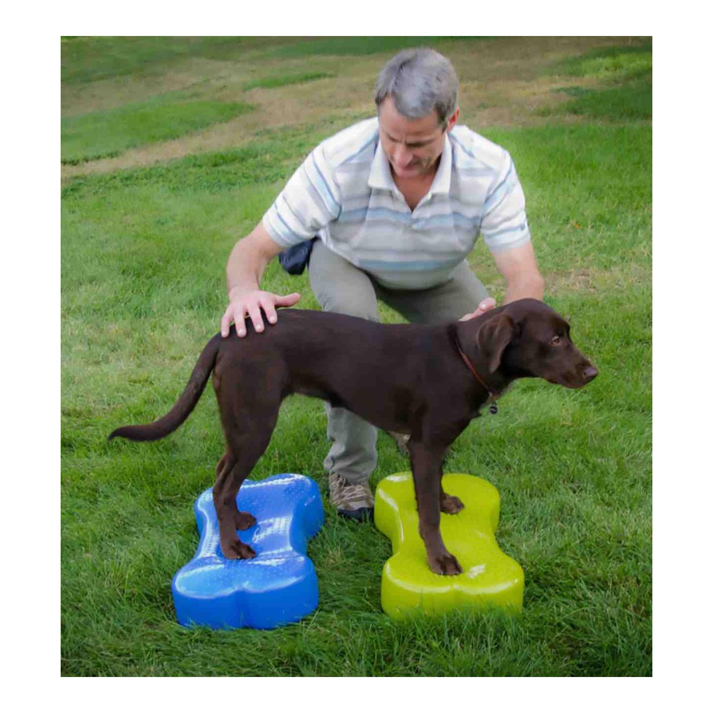 FitPaws K9FITbone
