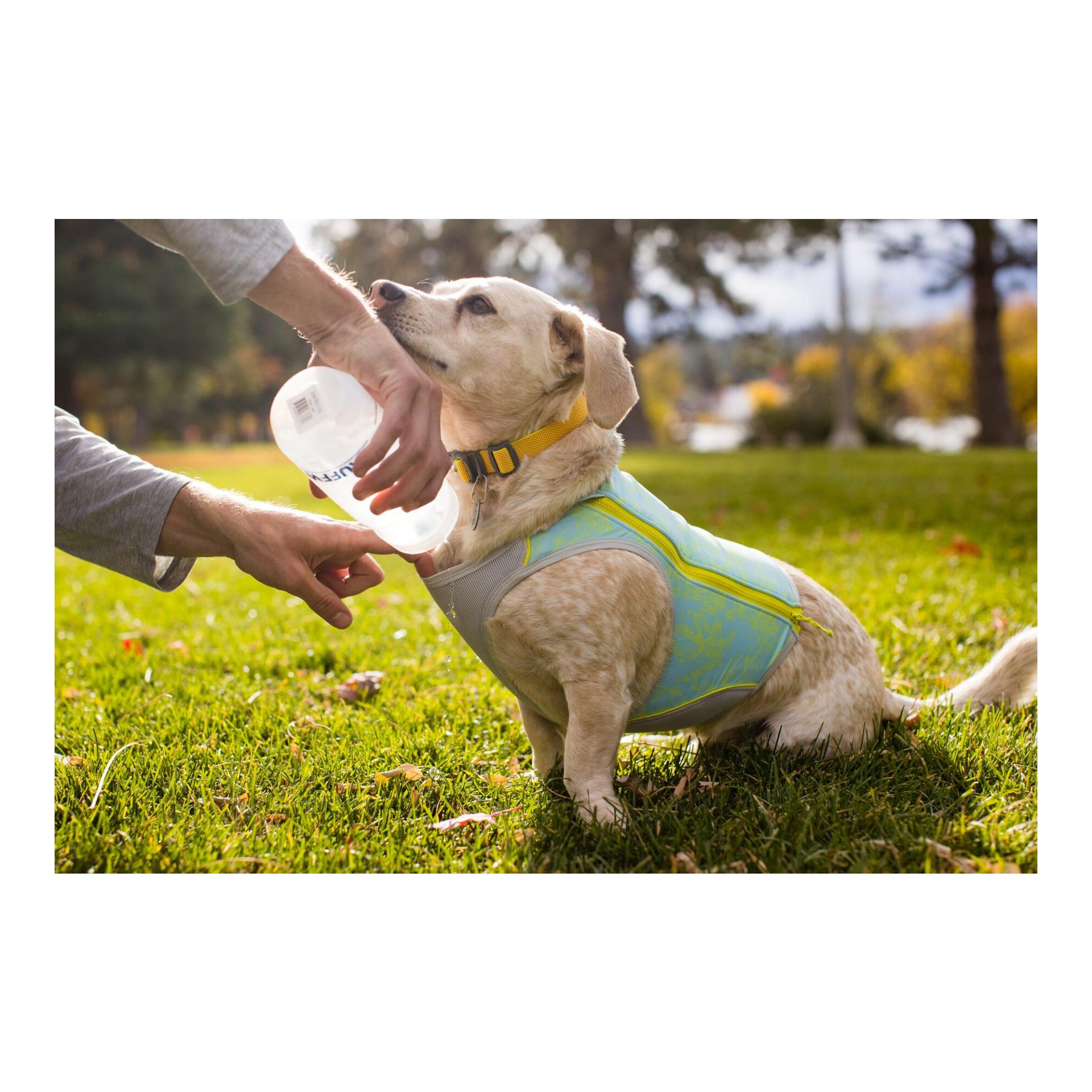 Ruffwear Swamp Cooler Zip™ Weste