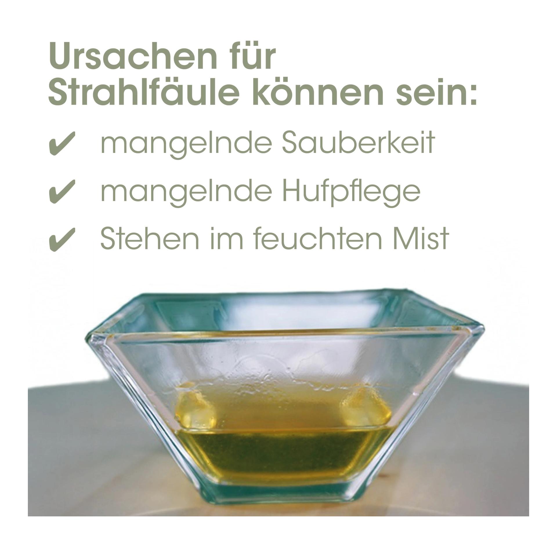 cdVet EquiGreen Strahltinktur
