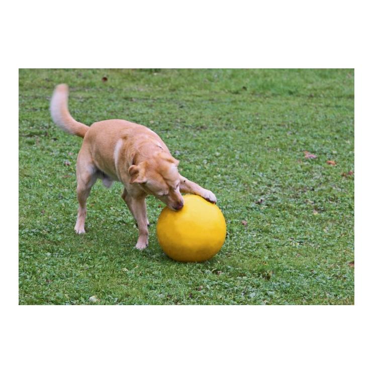 Kerbl Pet Balle pour chien 30 cm
