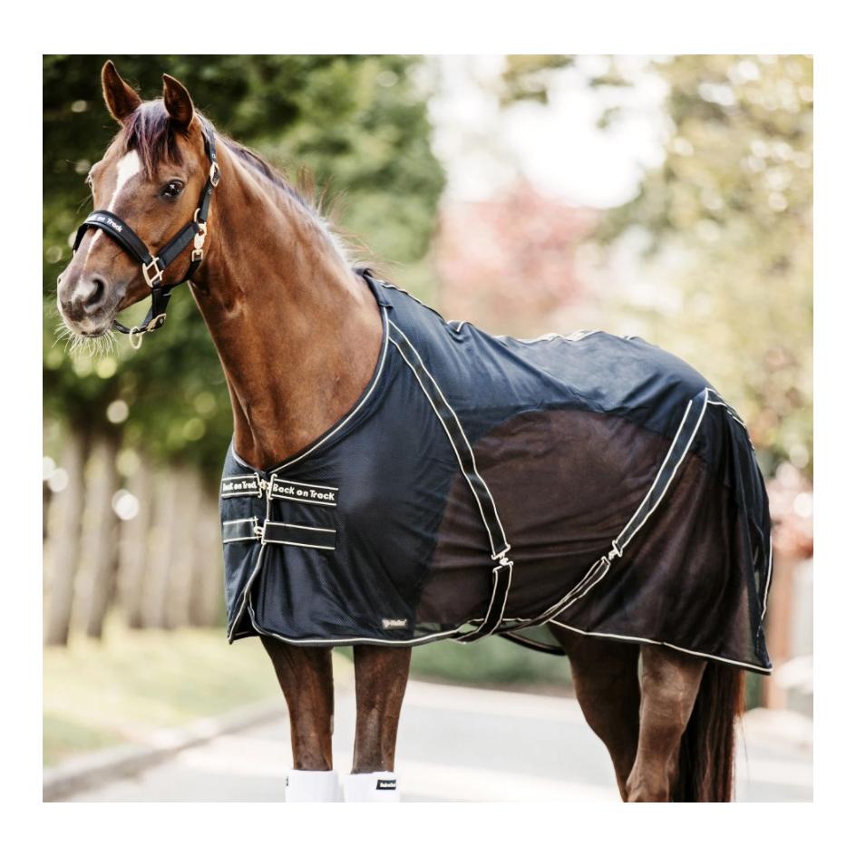 Back on Track Cooler - Decke Sienna - schwarz