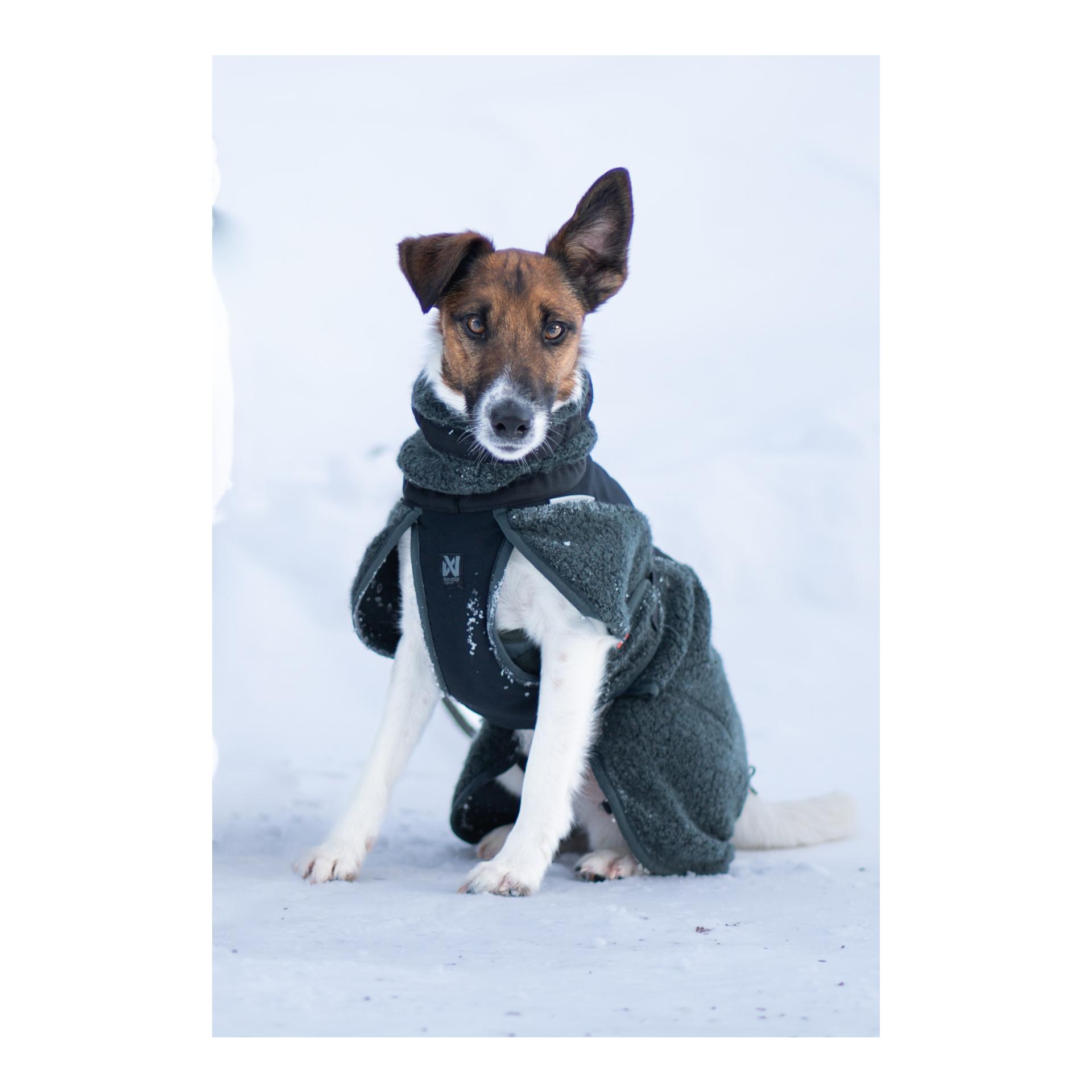 Non-stop Dogwear Manteau pour chien Wool Dog Jacket