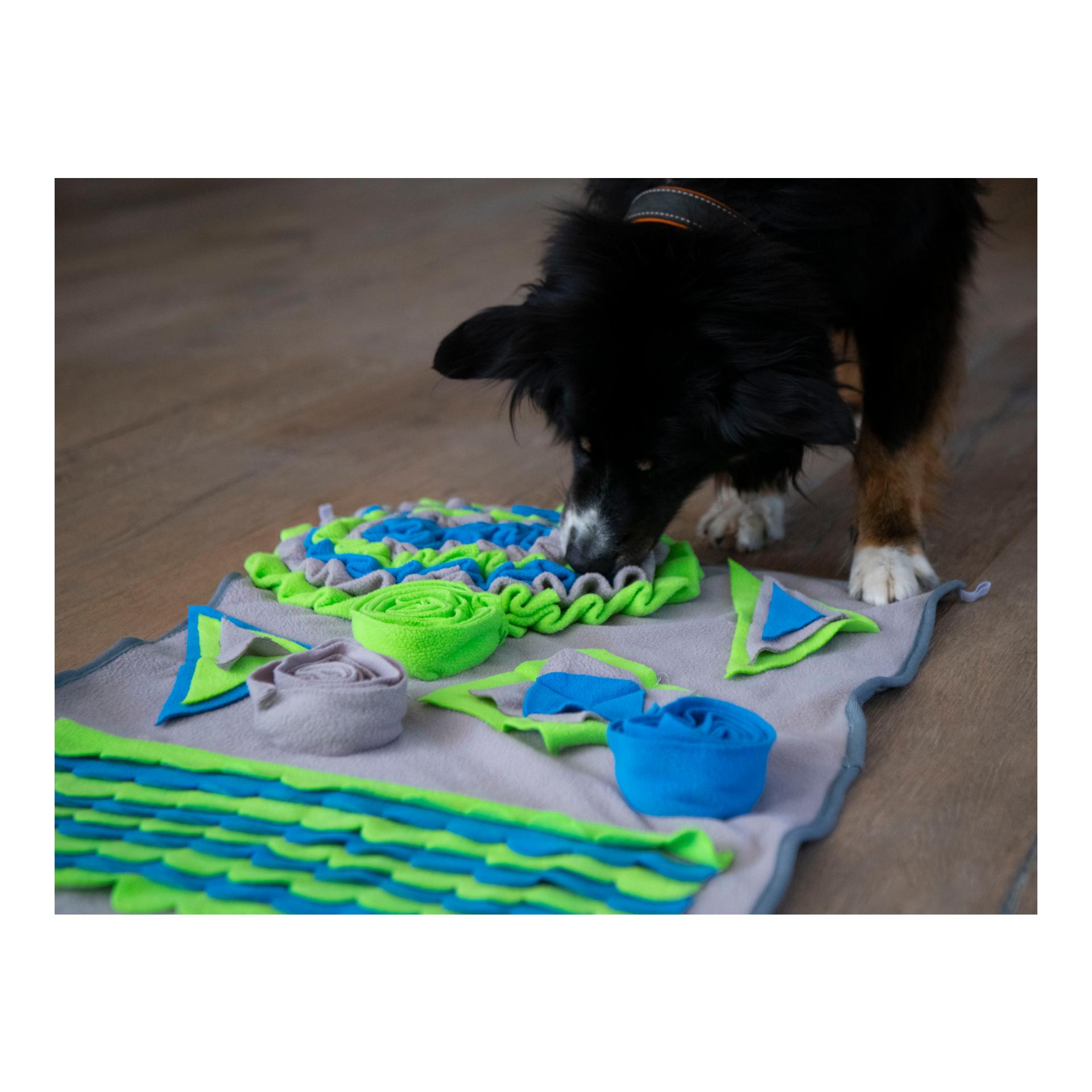 Josty Intelligence Mat Fleece - tapis de reniflage pour chiens