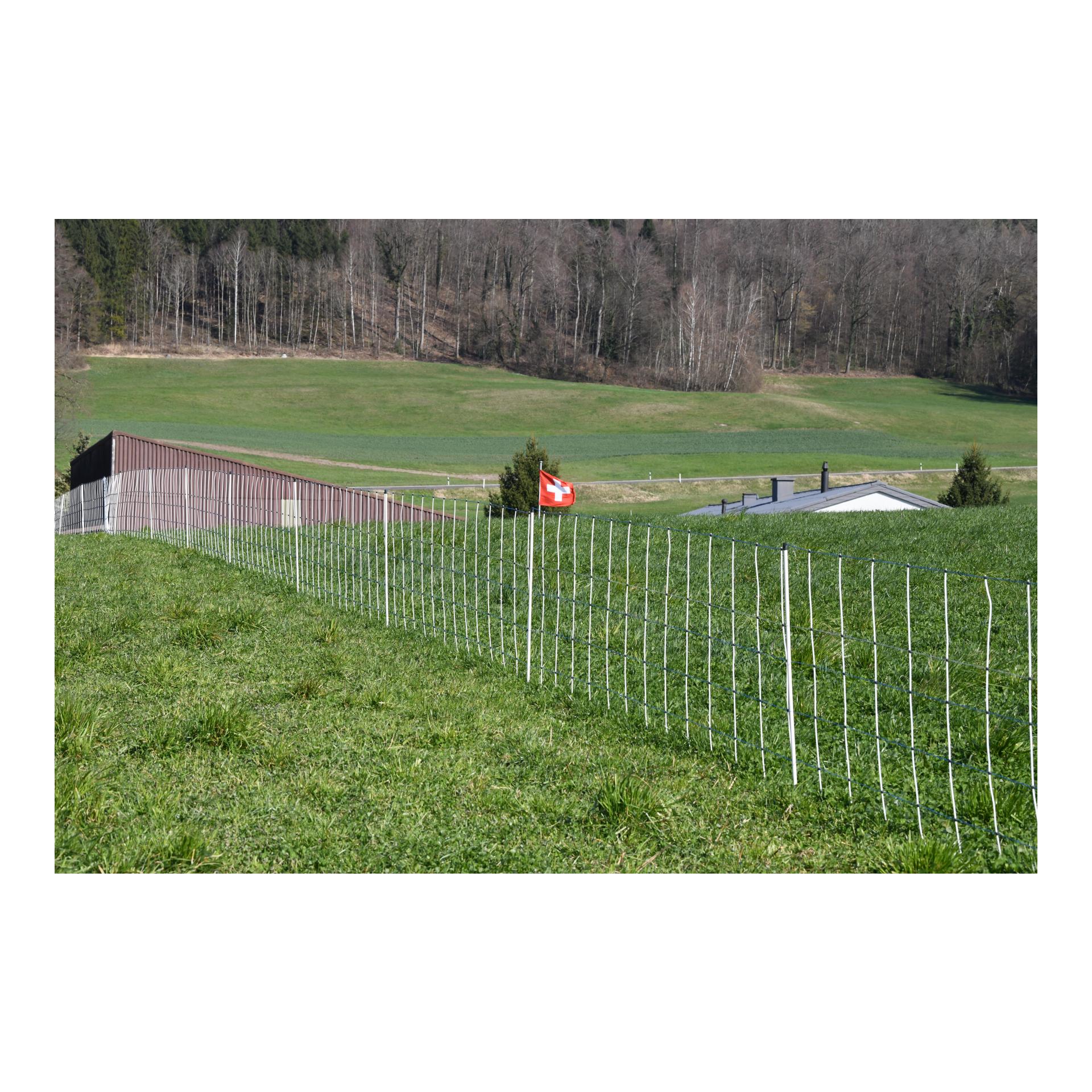 Hauptner Weidenetz Primaflex Alpin - Einzelspitz