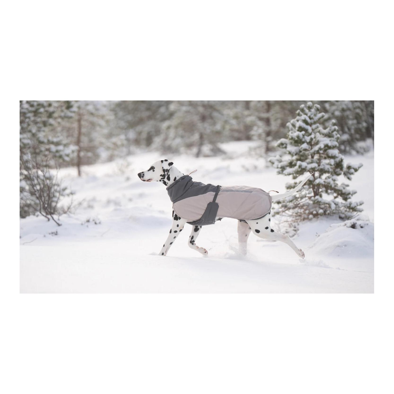 Non-stop Dogwear Veste d'hiver pour chien Glacier wool jacket 3.0