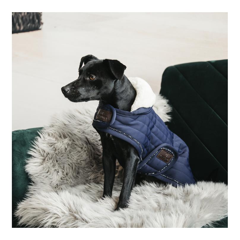Kentucky Dogwear Hundemantel Dog Coat Pearls - navy