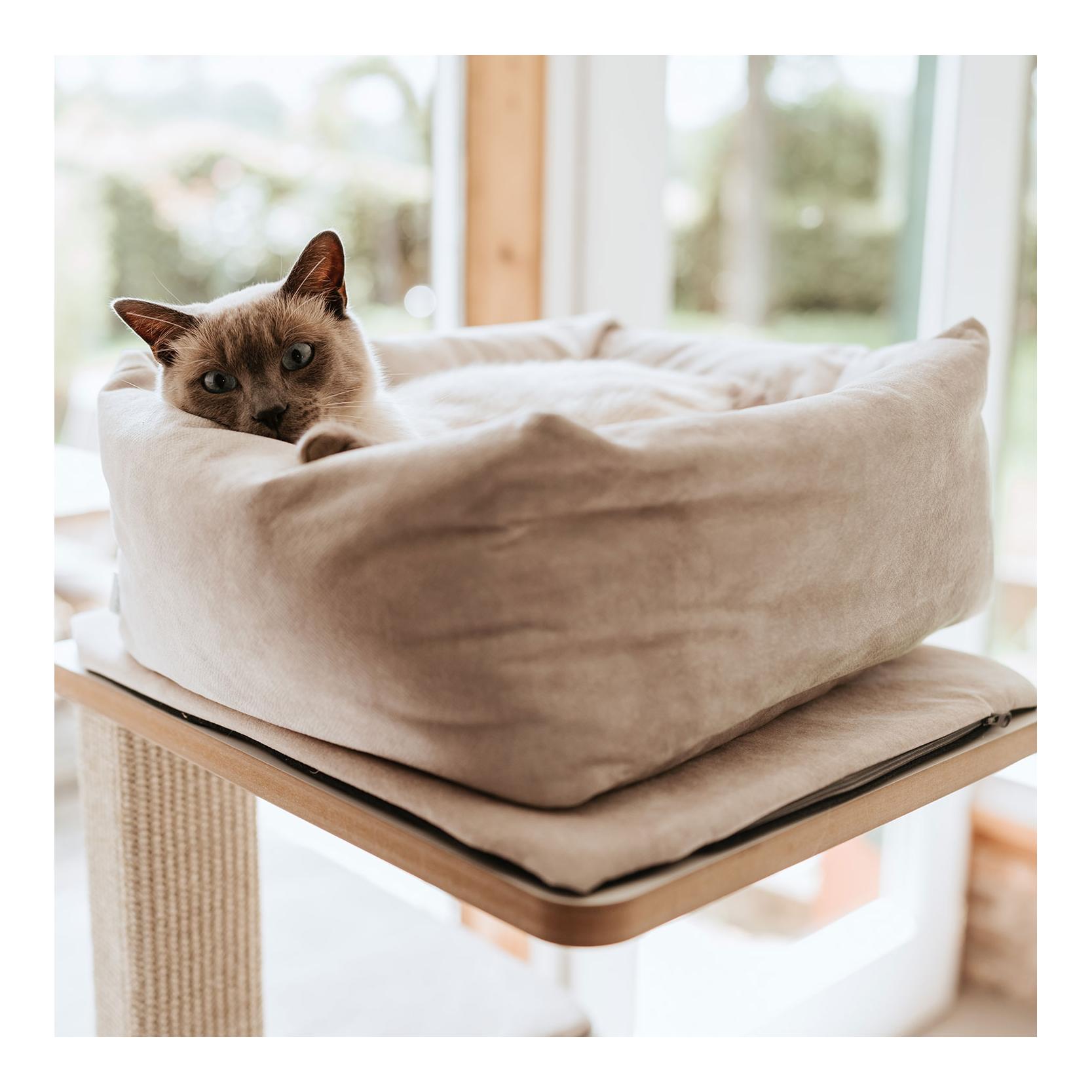 Stylecats by Hunter Katzenbett Dreamie