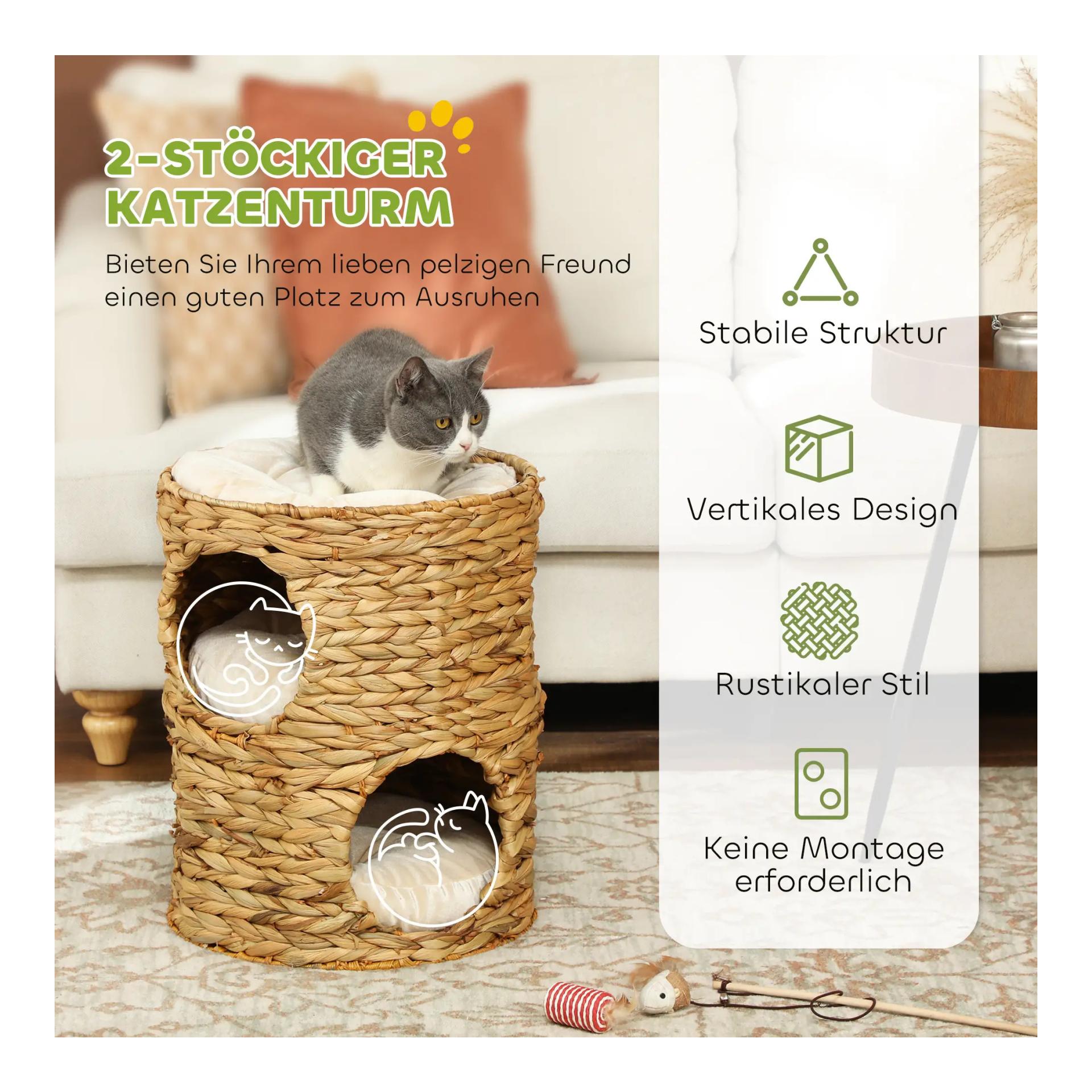 Mainer Katzenhöhle