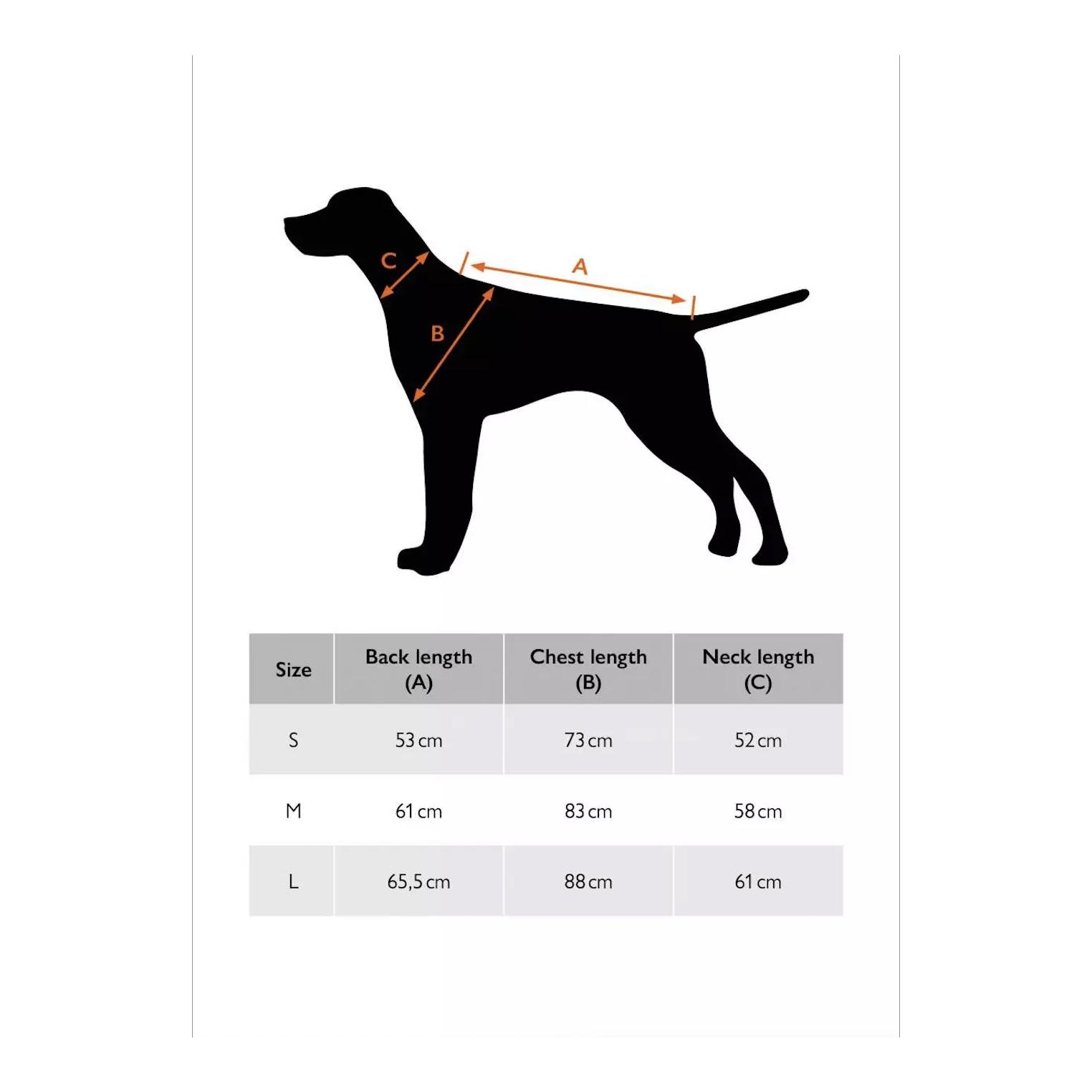 Blaser Set pour chien Oliv