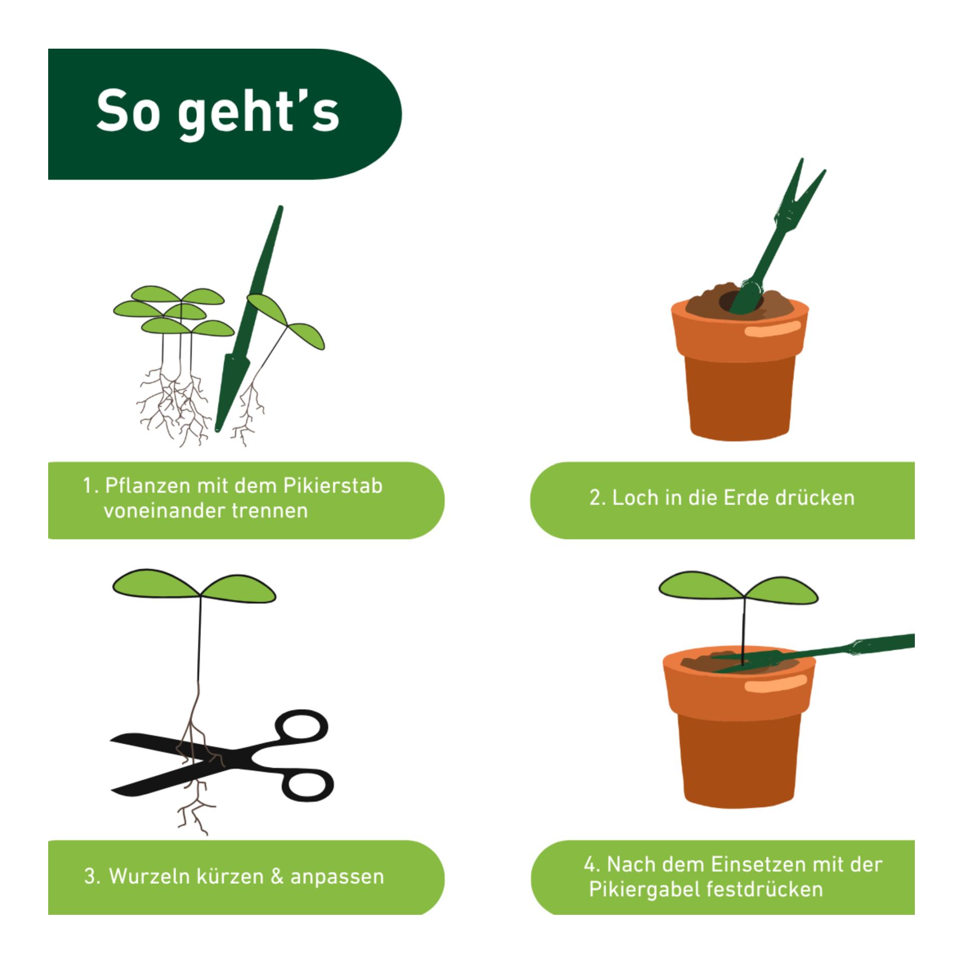 Windhager Pikier-Set