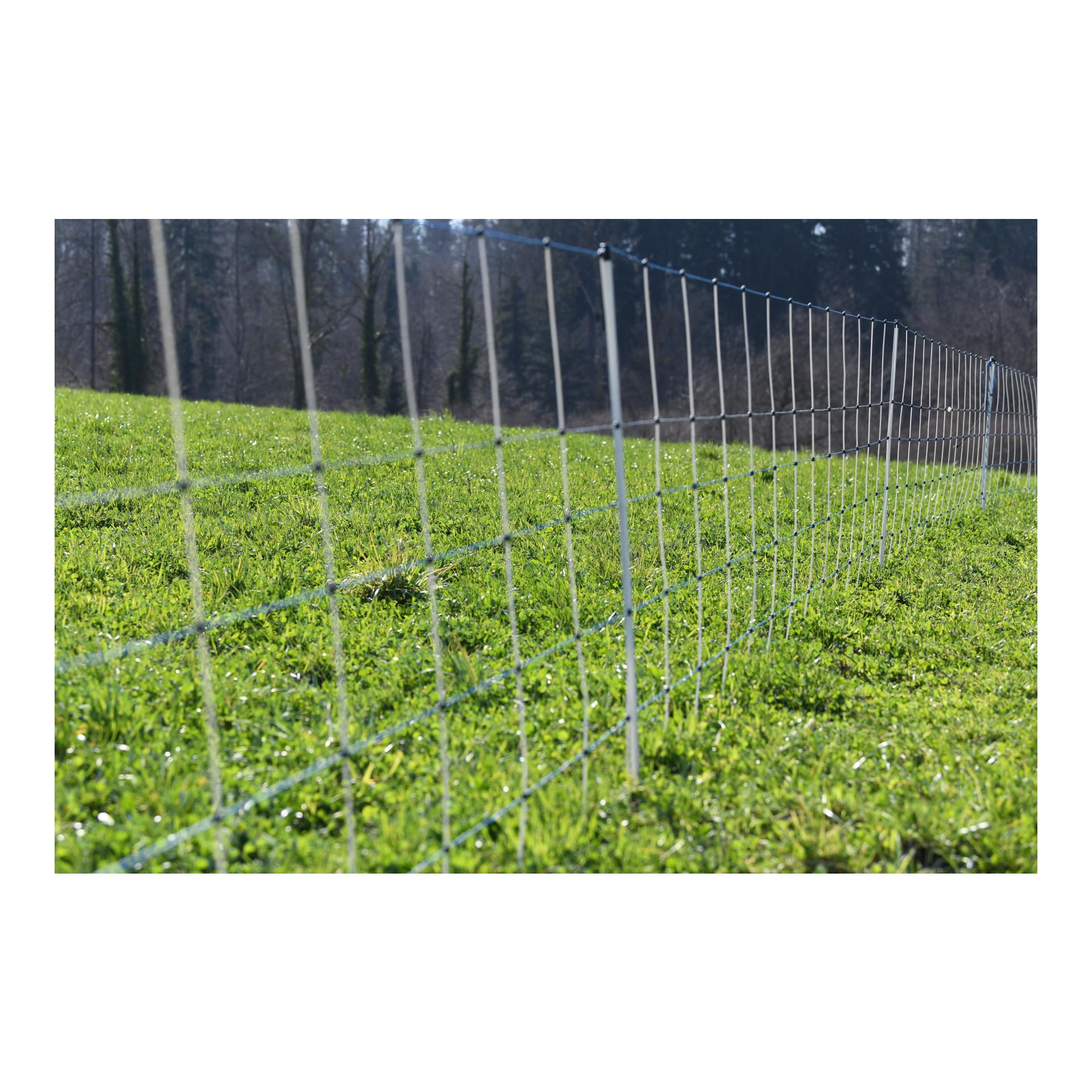 Hauptner Weidenetz Primaflex Alpin - Einzelspitz