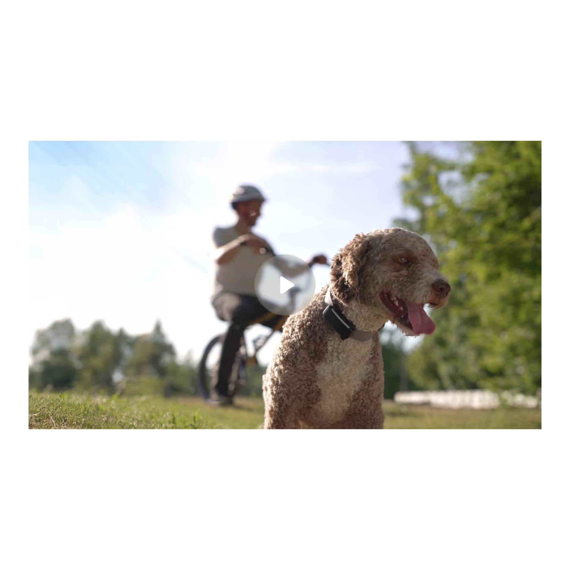 Tractive Tracker GPS pour chiens DOG 6
