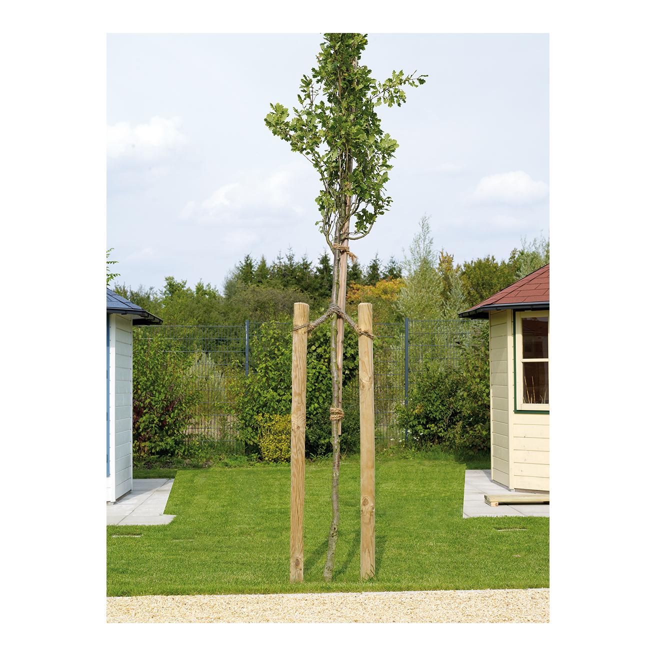 Hauptner Holzpfahl
