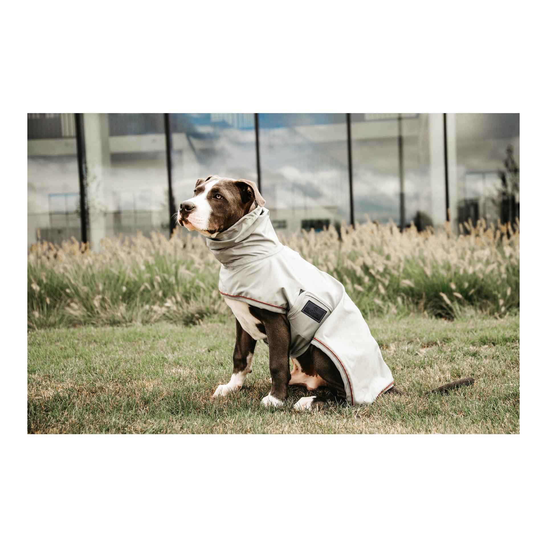 Kentucky Dogwear Veste imperméable pour chien