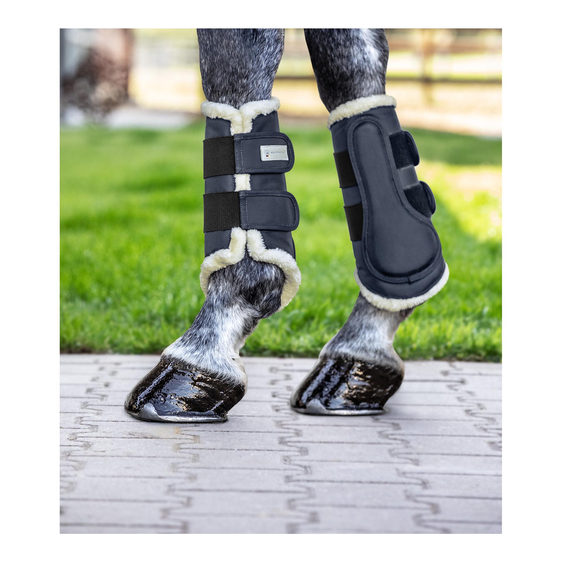 Waldhausen Guêtres de dressage