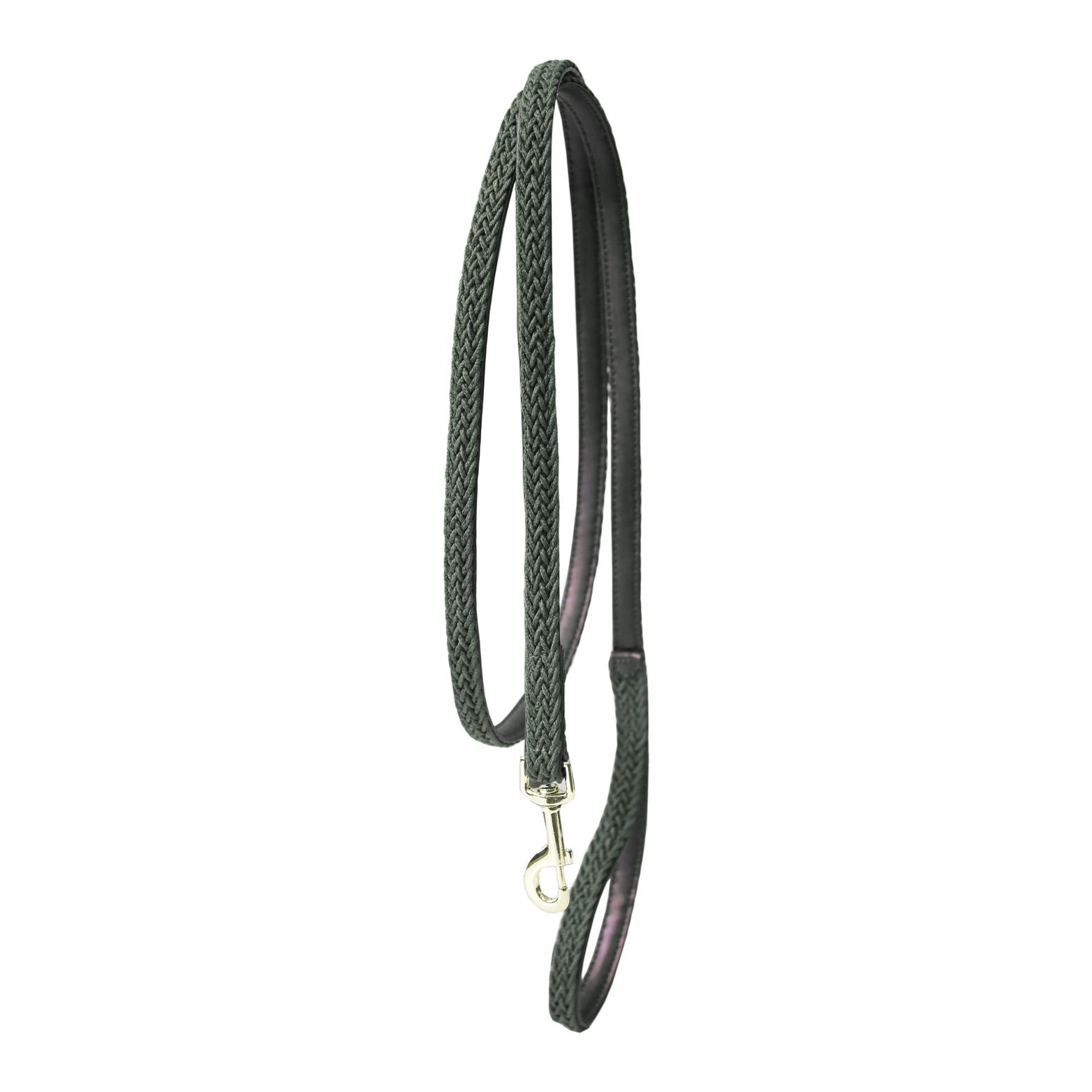 Kentucky Dogwear Hundeleine Nylon geflochten - olive green