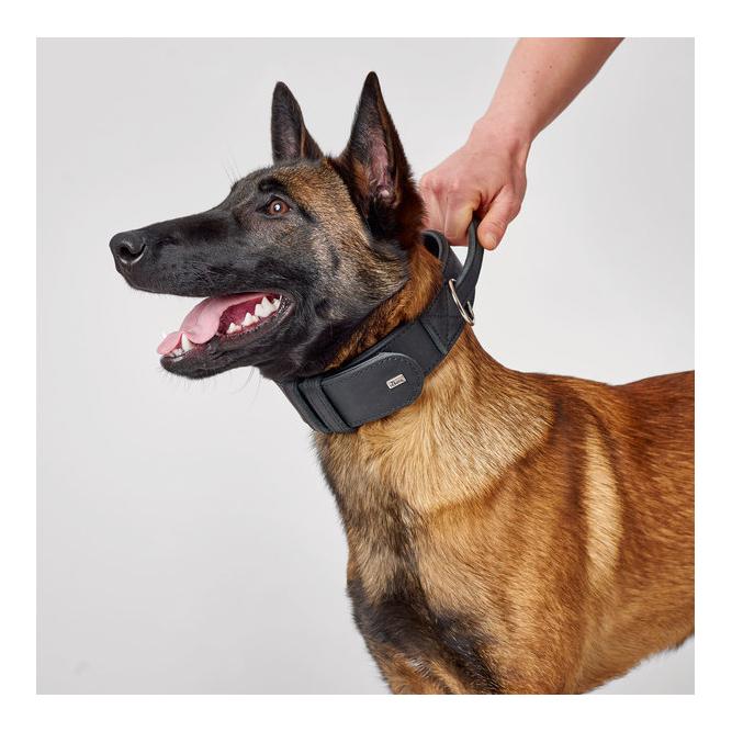 Hunter Trainingshalsband mit Griff Larvik - schwarz