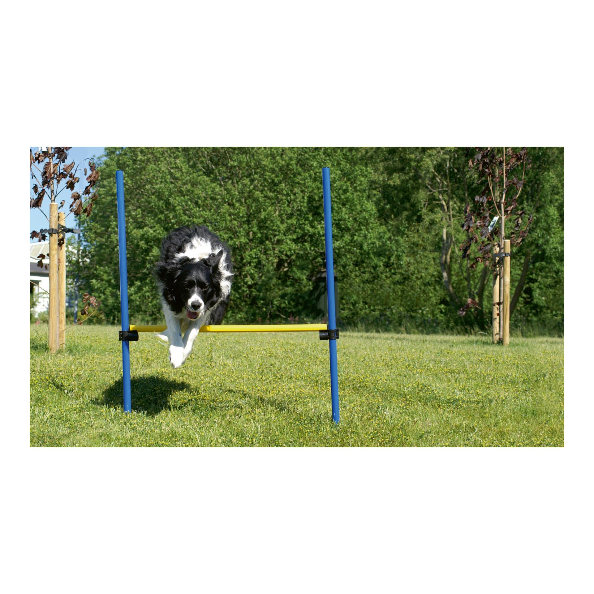 Josty Agility Hürde für Hunde - höhenverstellbar