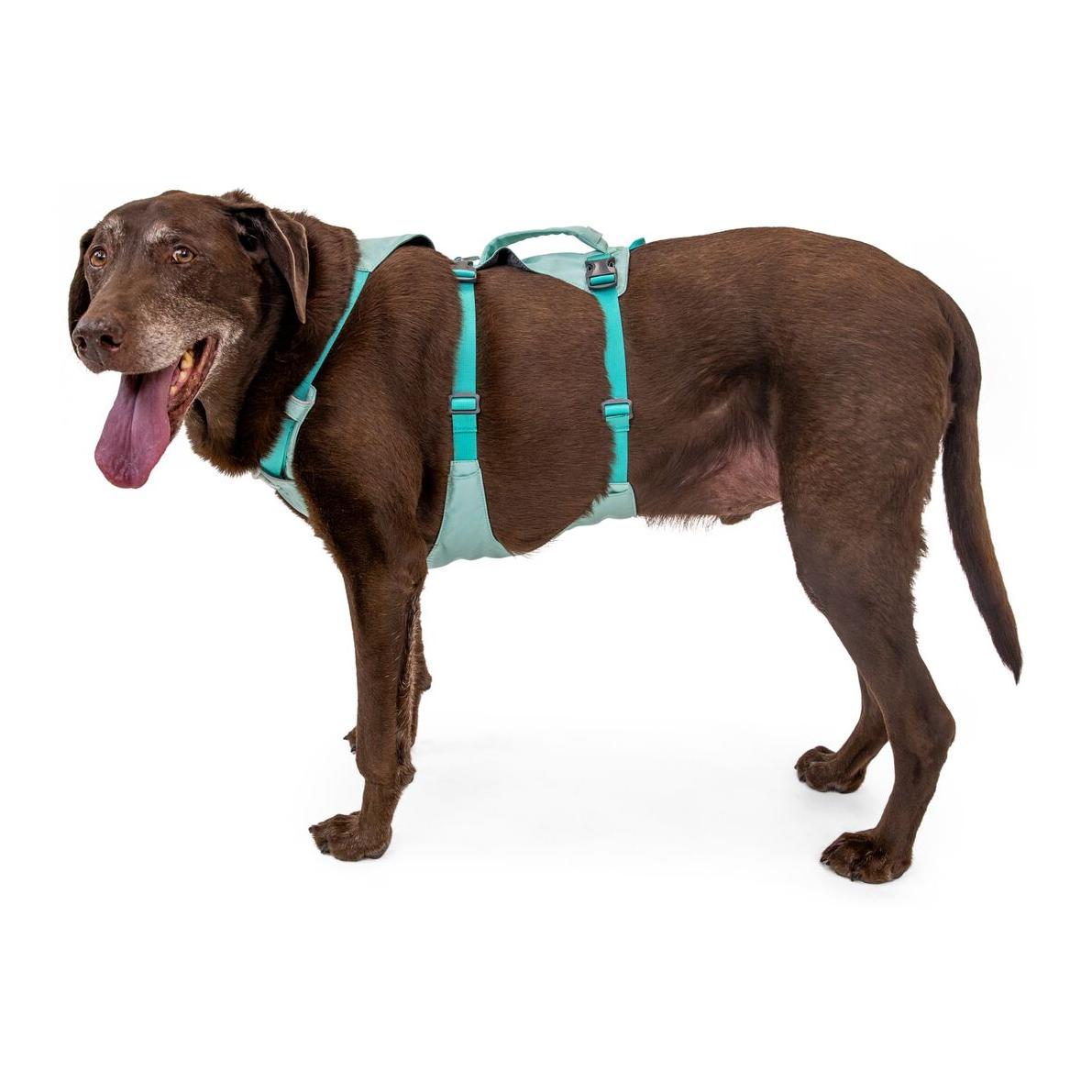 Ruffwear Flagline™ Hundegeschirr