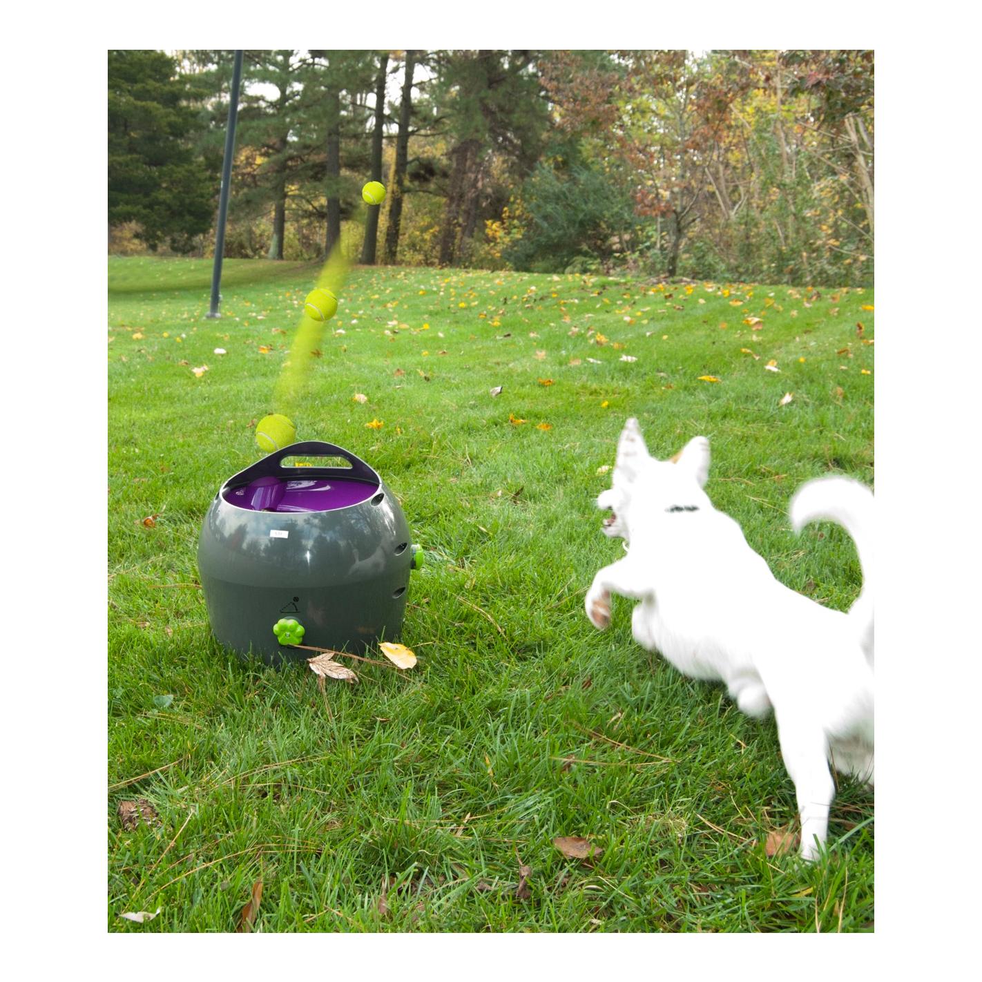 PetSafe Automatischer Ballwerfer