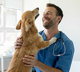 Hauptner-VET-KAT-Chirurgie