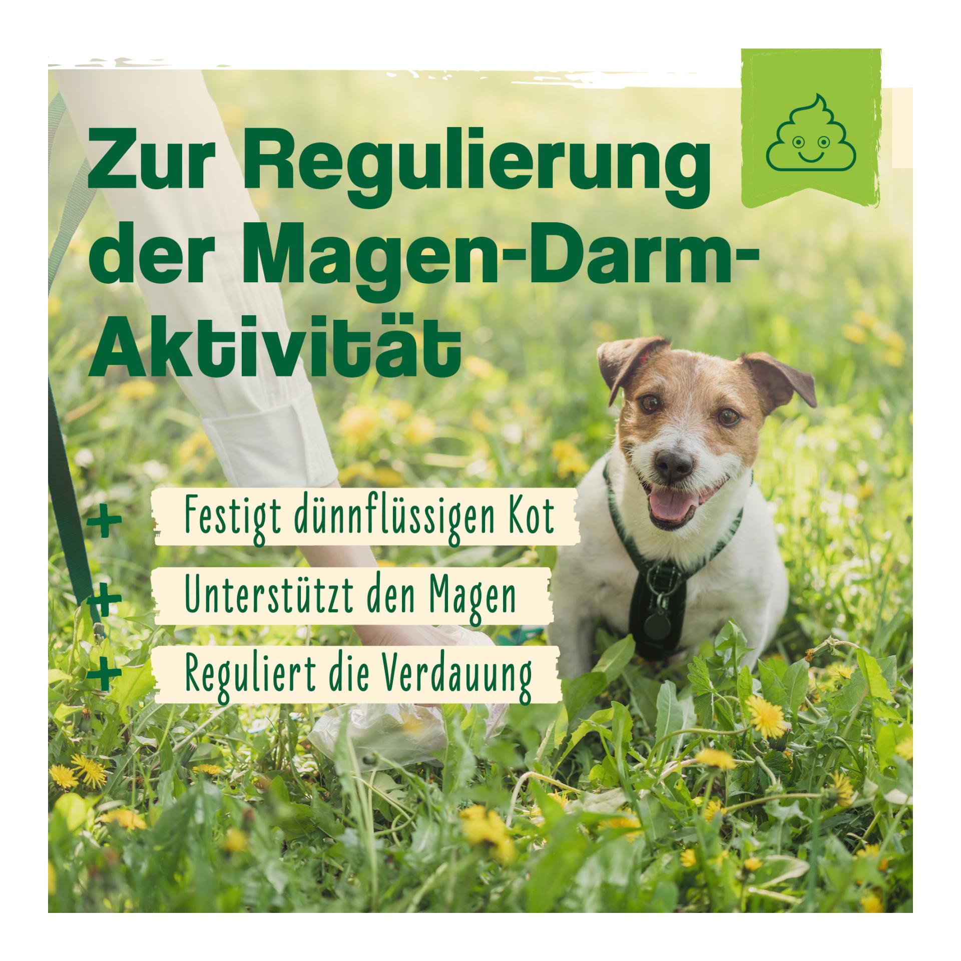 IdaPlus Argile - Complément alimentaire pour chats