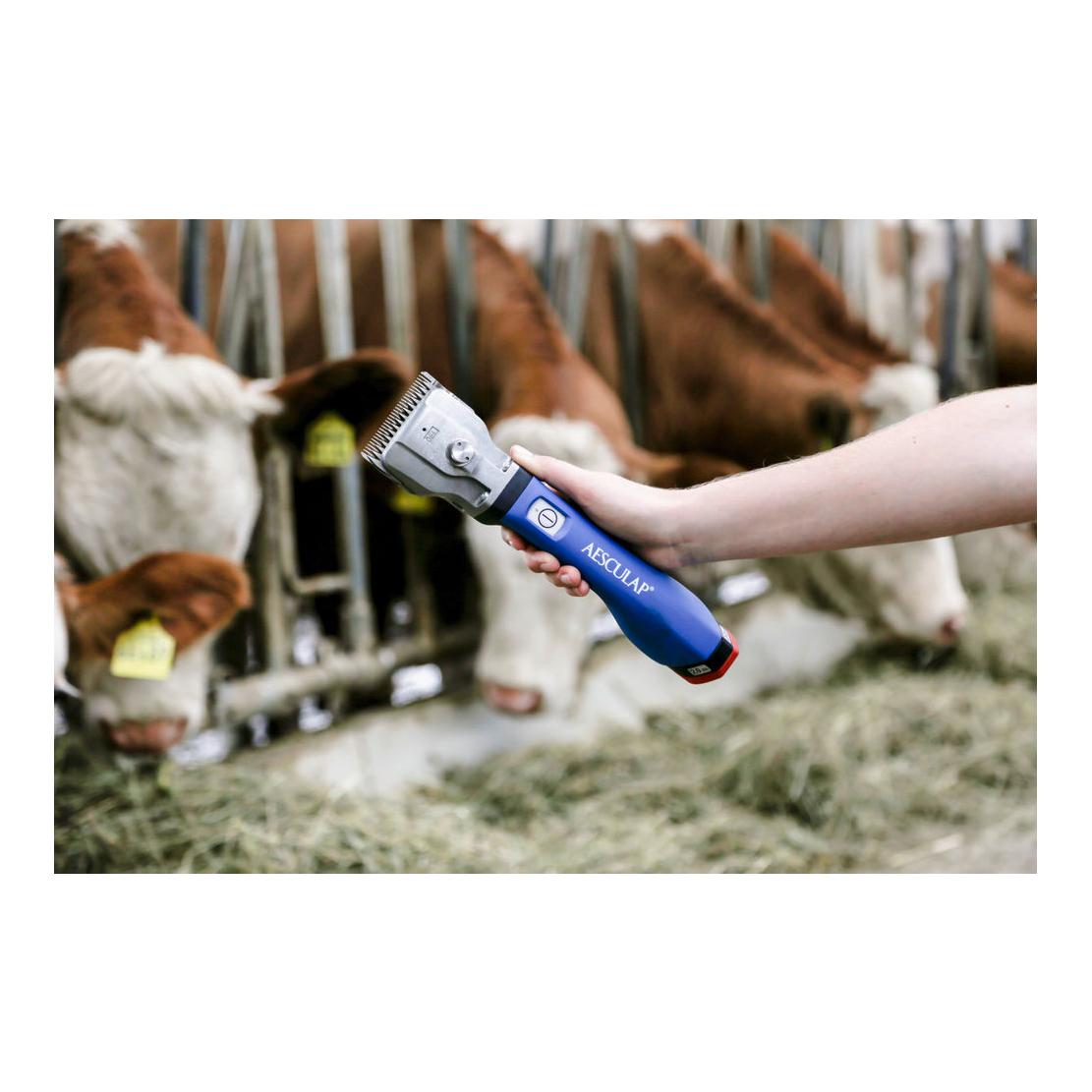 Aesculap Tondeuse sans fil Bonum Rind avec 1 batterie - bleu