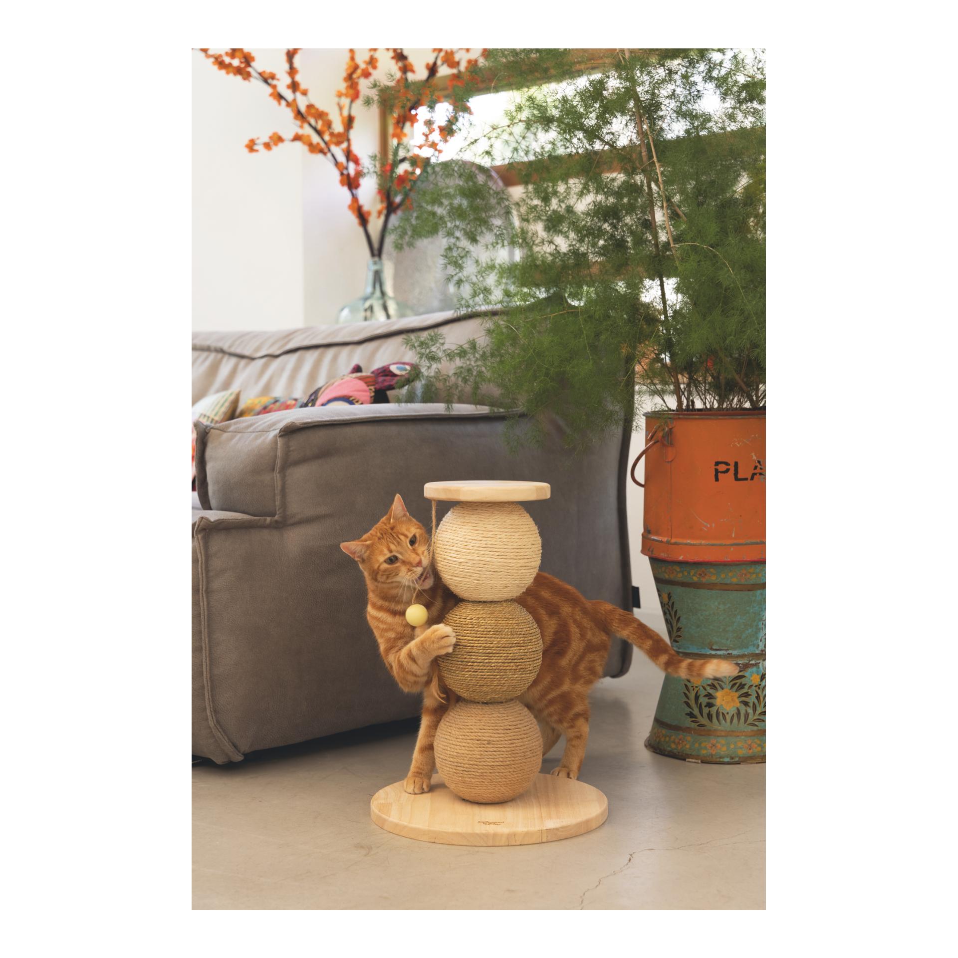 TRIXIE Balles à gratter en bois Elio
