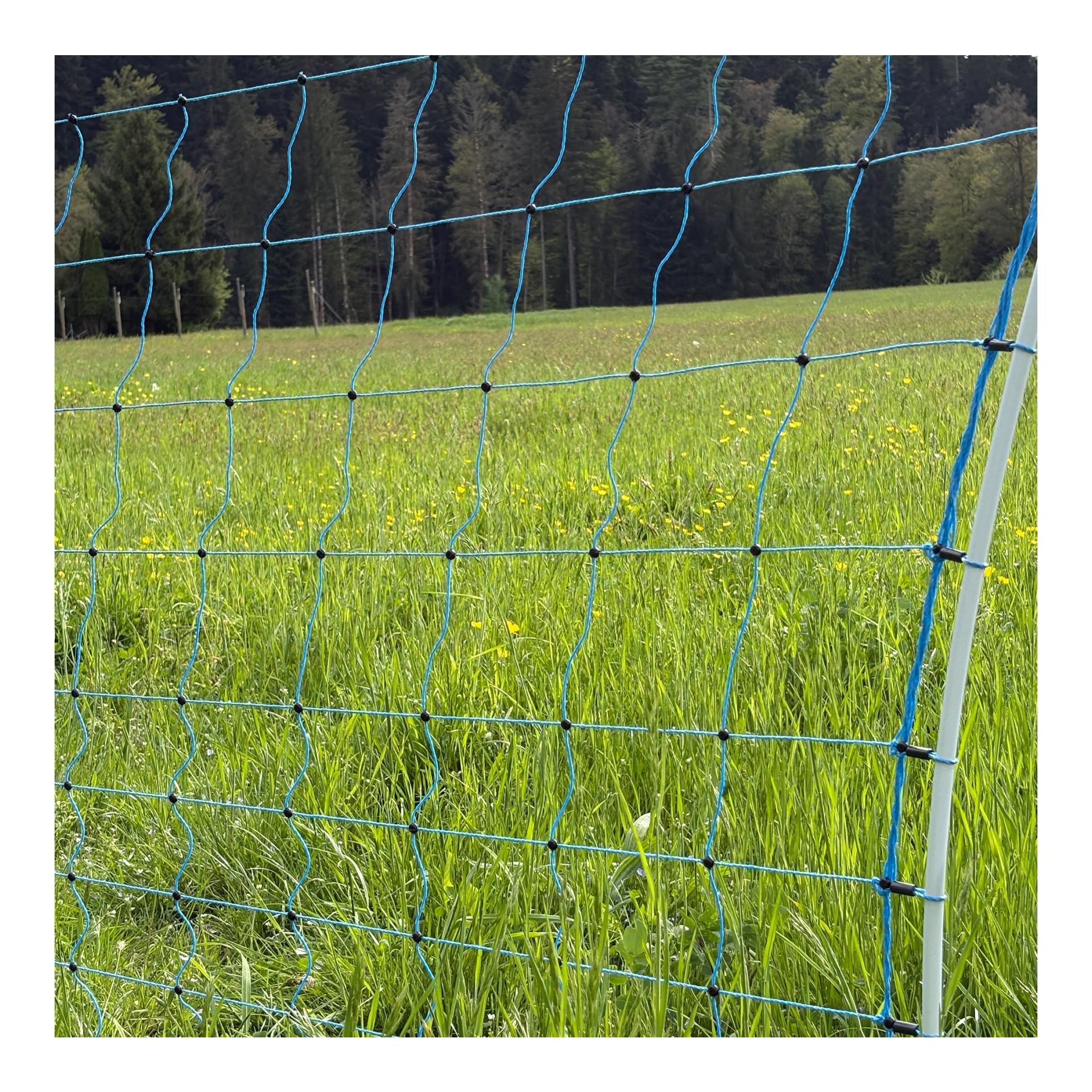Euro Netz Weidenetz Flexinet Wild - Einzelspitz