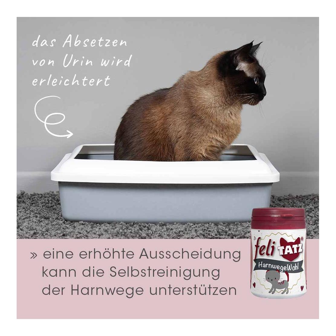 cdVet feliTATZ HarnwegeWohl