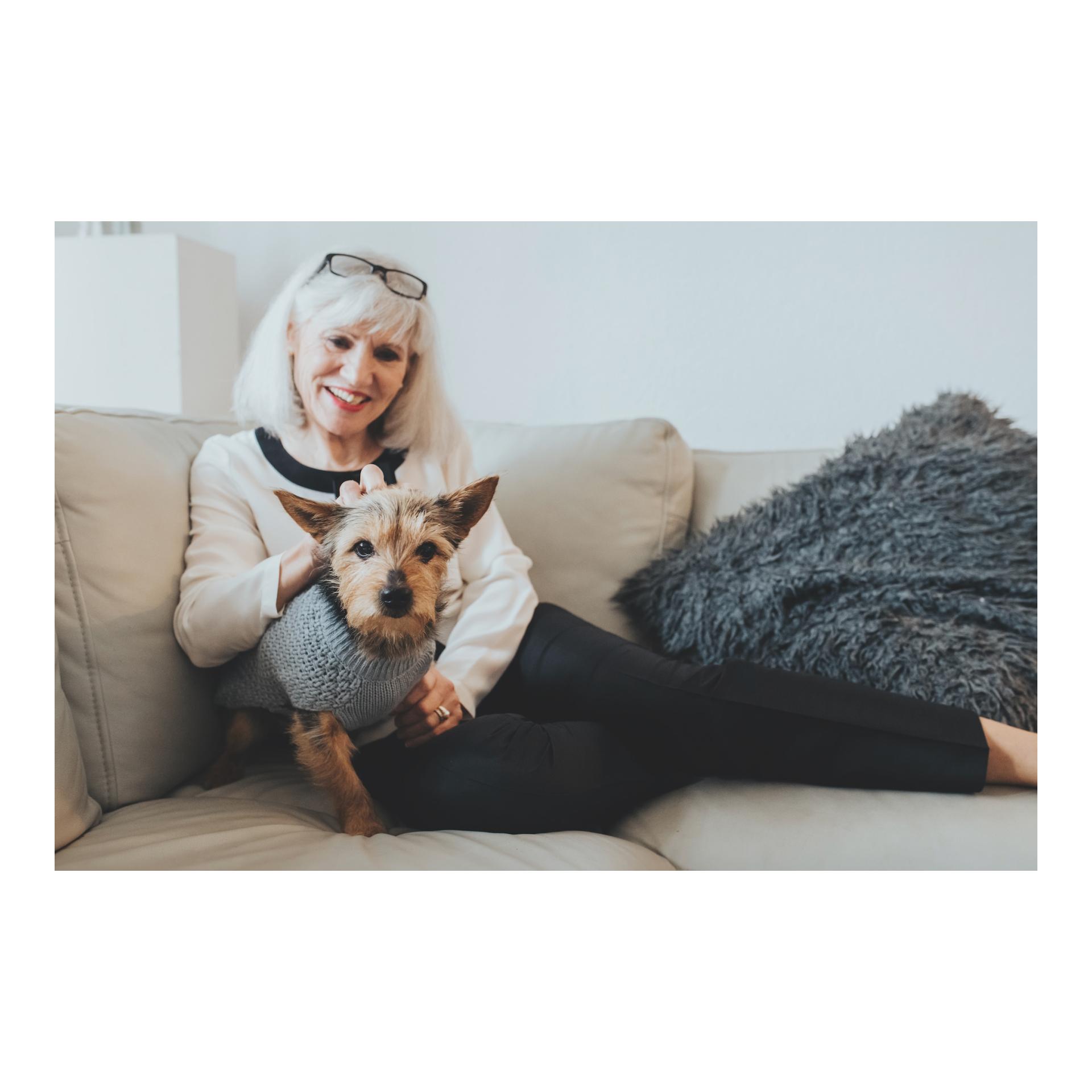Hunter Pullover pour chien Malmö - gris